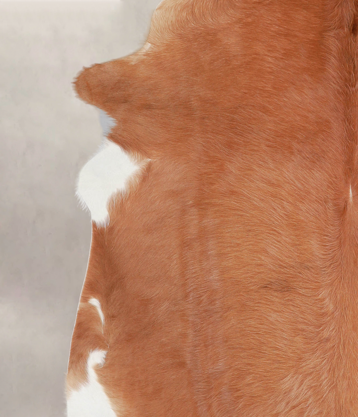 Solid Brown X-Large Brazilian Cowhide Rug 7'0"H x 6'6"W #A25988 by Hudson Hides