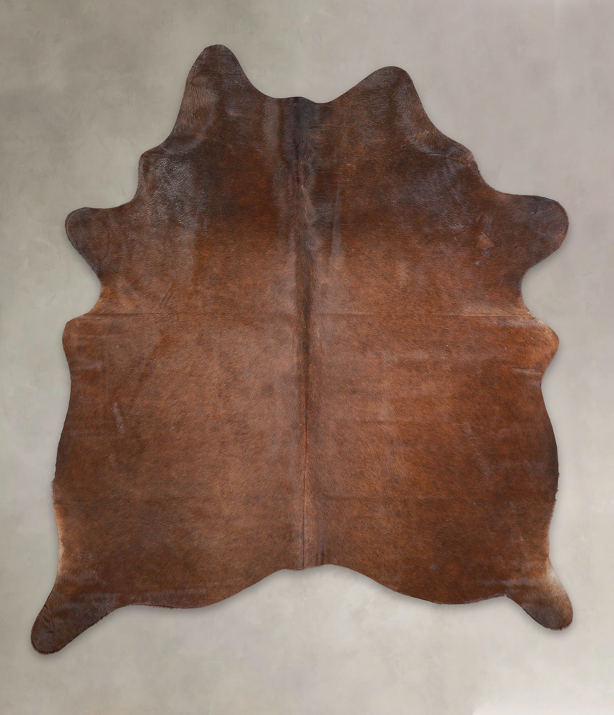 Chocolate Large Brazilian Cowhide Rug 6'2"H x 5'5"W #A26005 by Hudson Hides