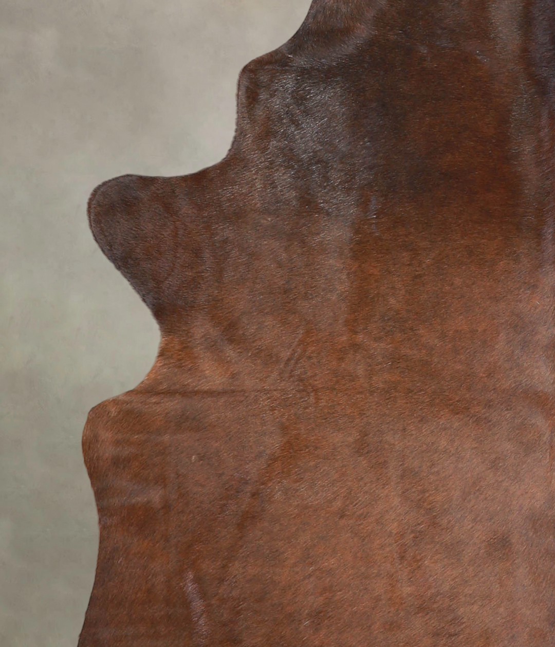 Chocolate Large Brazilian Cowhide Rug 6'2"H x 5'5"W #A26005 by Hudson 