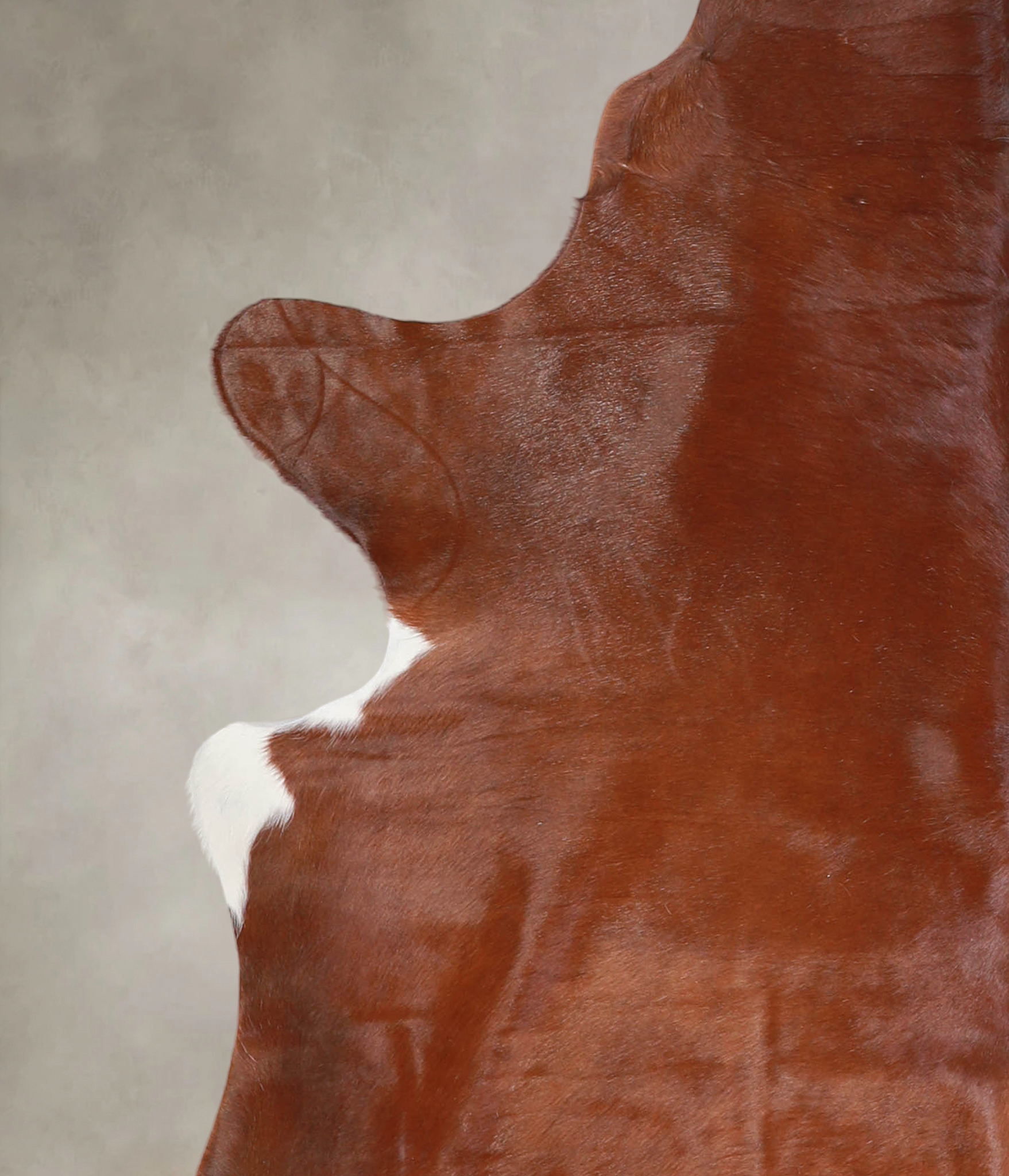 Solid Brown Cowhide Rug #A26007