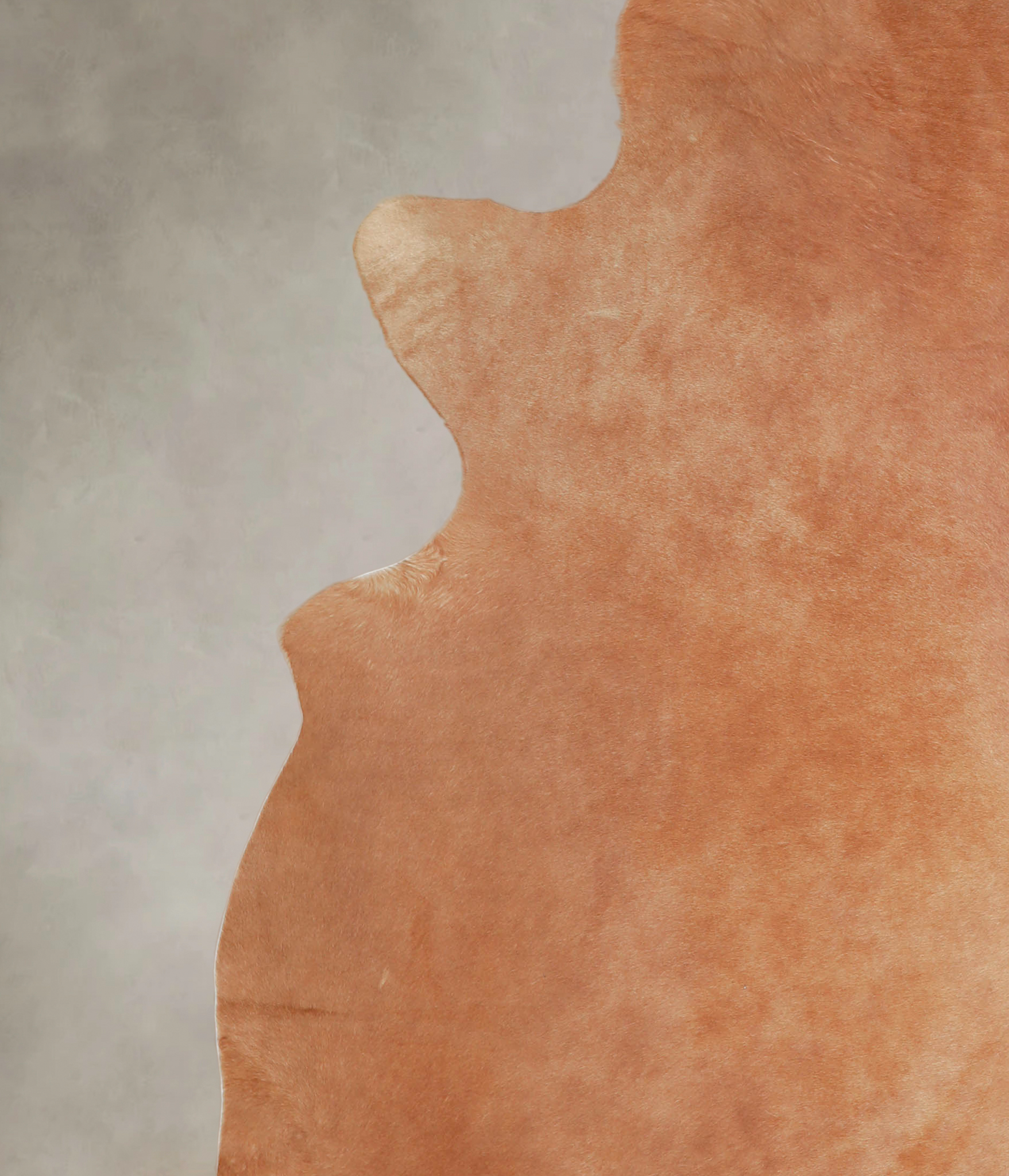 Solid Brown Cowhide Rug #A26019