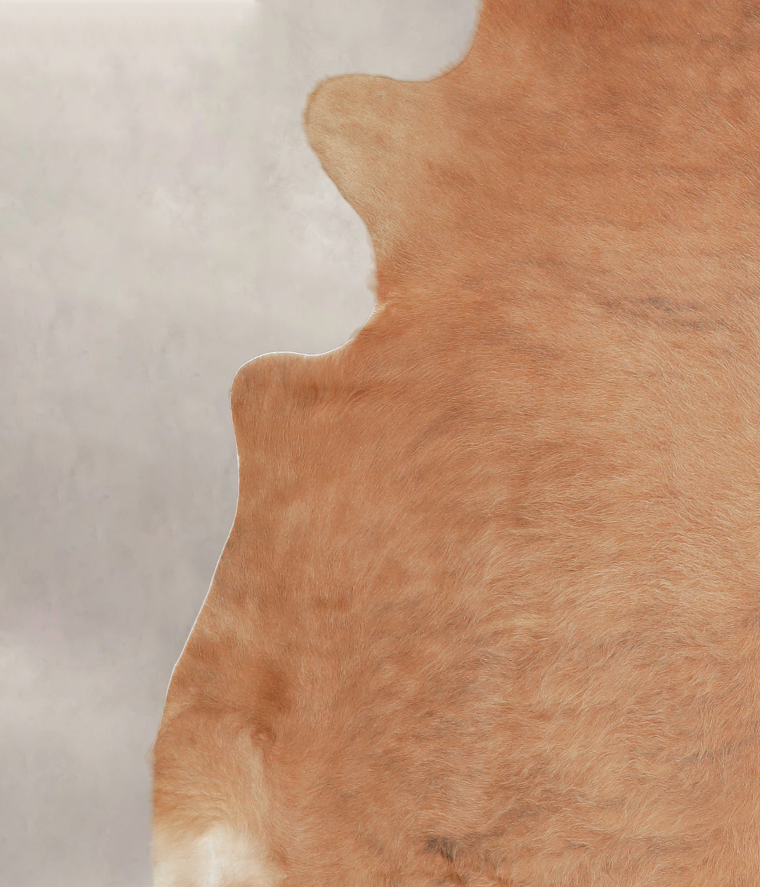 Solid Brown X-Large Brazilian Cowhide Rug 6'11"H x 6'8"W #A26051 by Hu