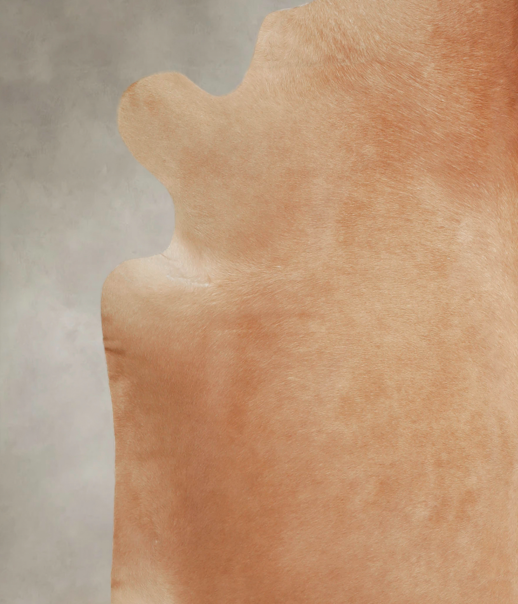 Solid Brown Cowhide Rug #A26085