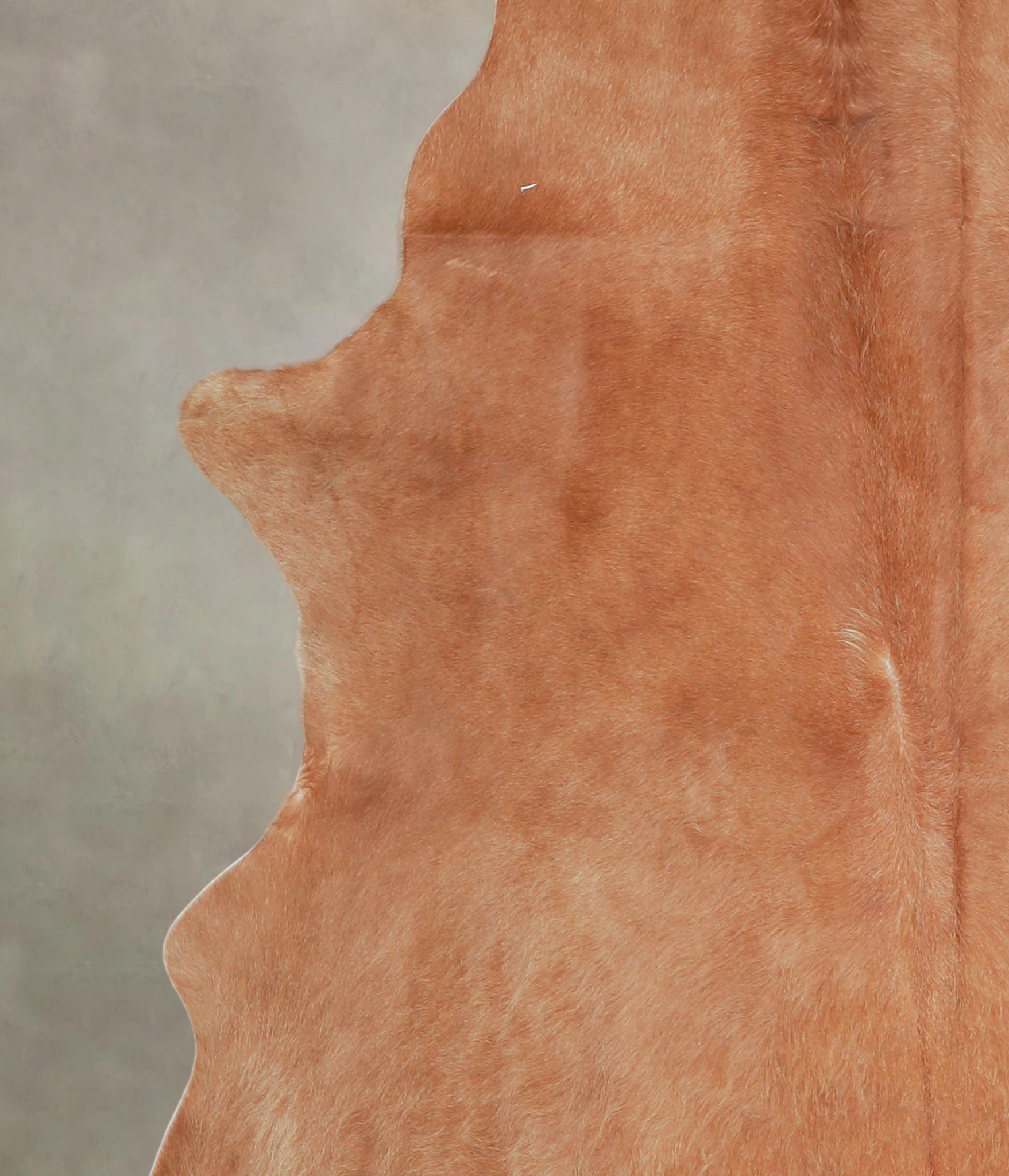 Solid Brown Cowhide Rug #A26087