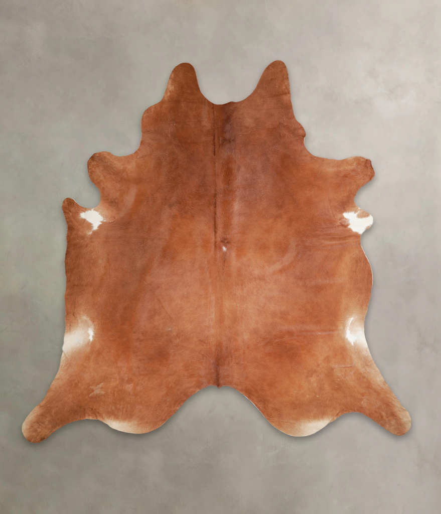 Solid Brown XX-Large Brazilian Cowhide Rug 7'10"H x 7'11"W #A26089 by Hudson Hides