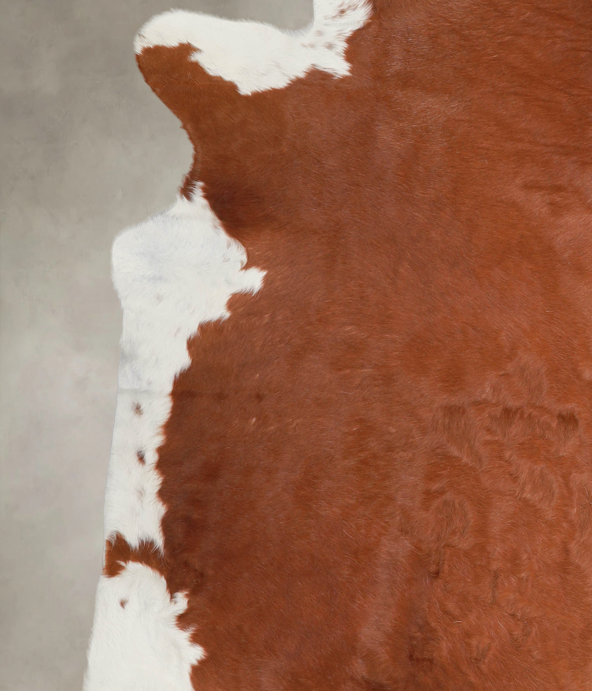 Hereford XX-Large Brazilian Cowhide Rug 7'5"H x 6'10"W #A26111 by Hudson Hides