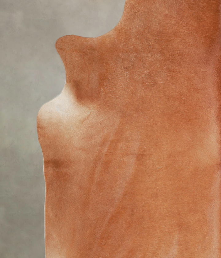 Solid Brown XX-Large Brazilian Cowhide Rug 8'0"H x 6'10"W #A26112 by Hudson Hides