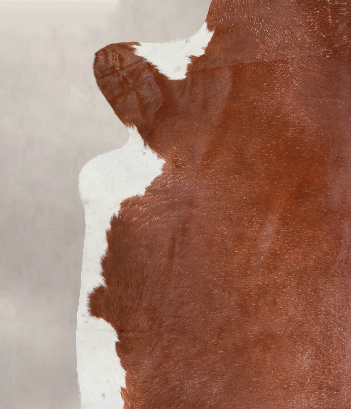 Hereford XX-Large Brazilian Cowhide Rug 7'10"H x 7'9"W #A26125 by Hudson Hides