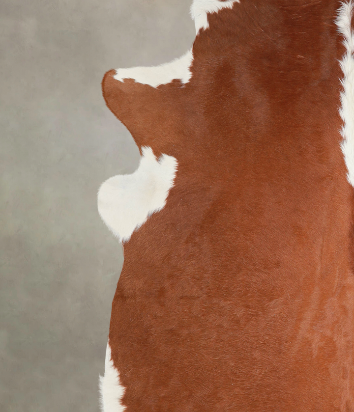 Hereford XX-Large Brazilian Cowhide Rug 8'4"H x 7'11"W #A26135 by Hudson Hides