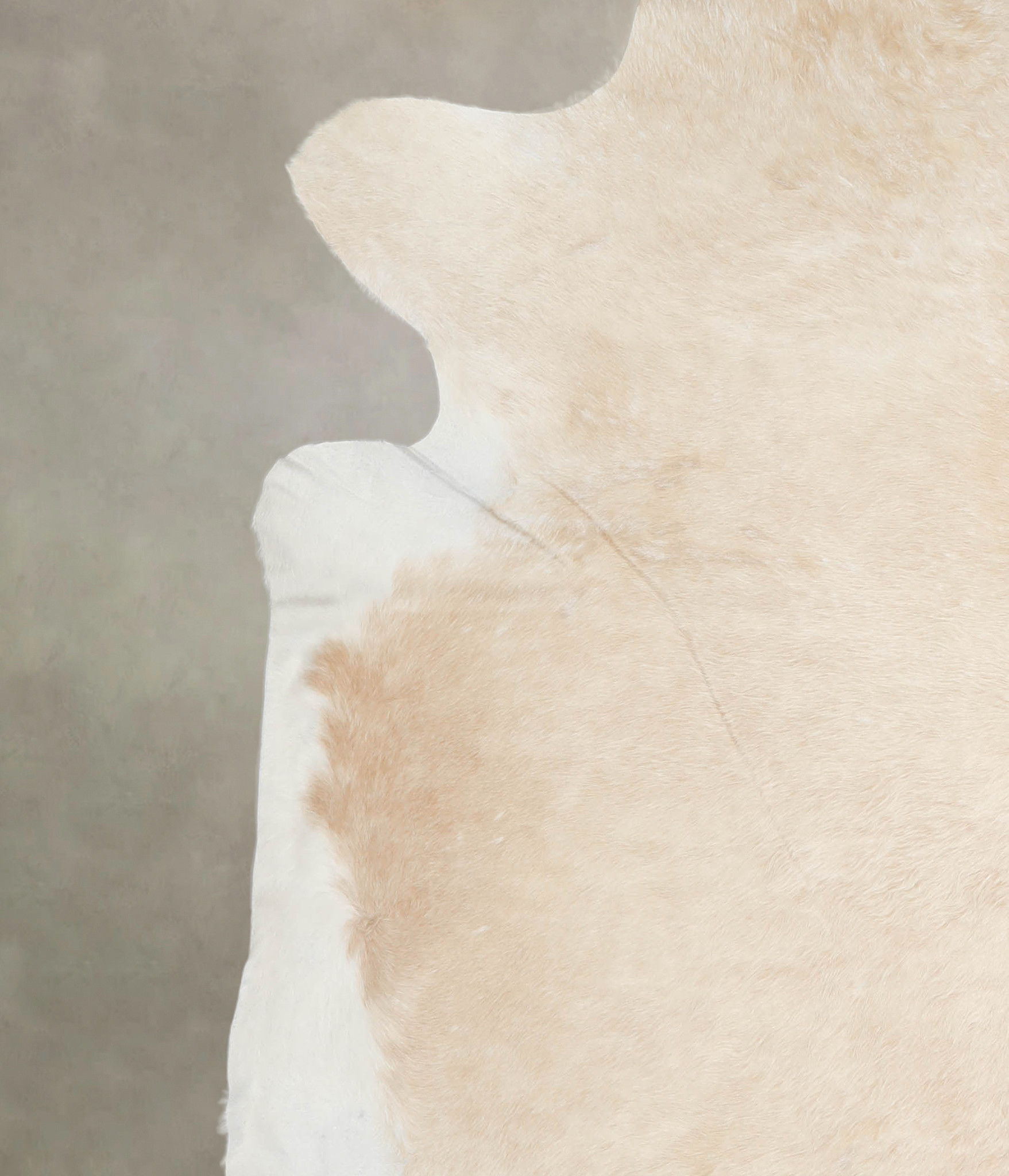 Palomino Cowhide Rug #A26163