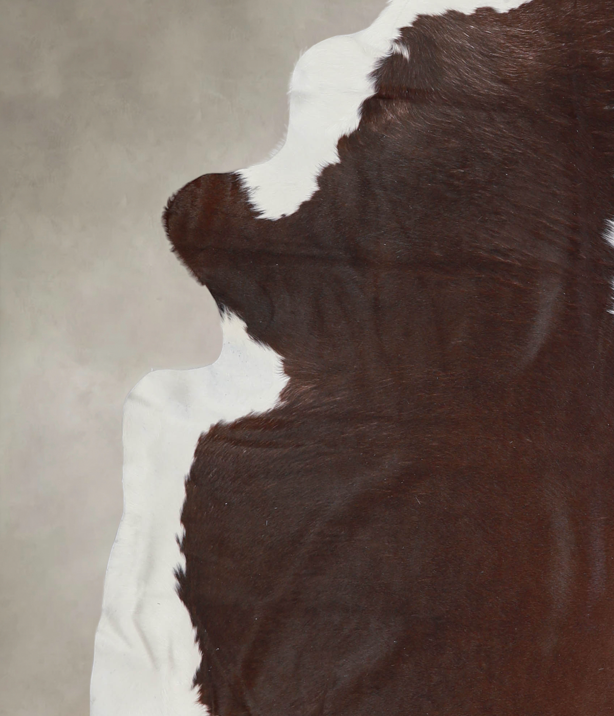 Hereford XX-Large Brazilian Cowhide Rug 7'6"H x 6'11"W #A26172 by Hudson Hides