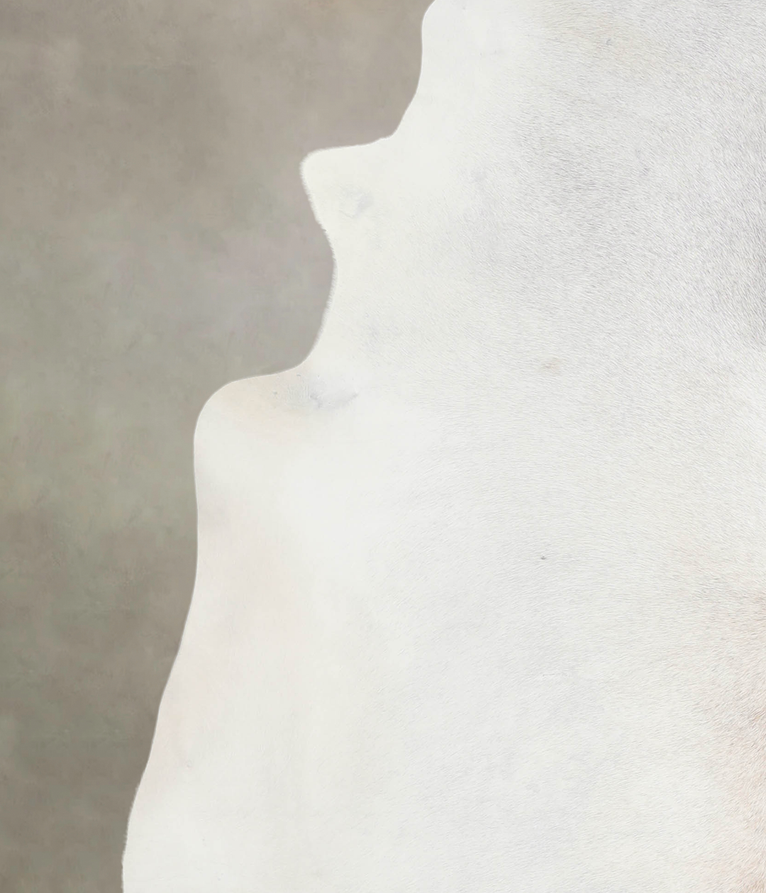 Light Grey X-Large Brazilian Cowhide Rug 7'3"H x 6'9"W #A26202 by Huds