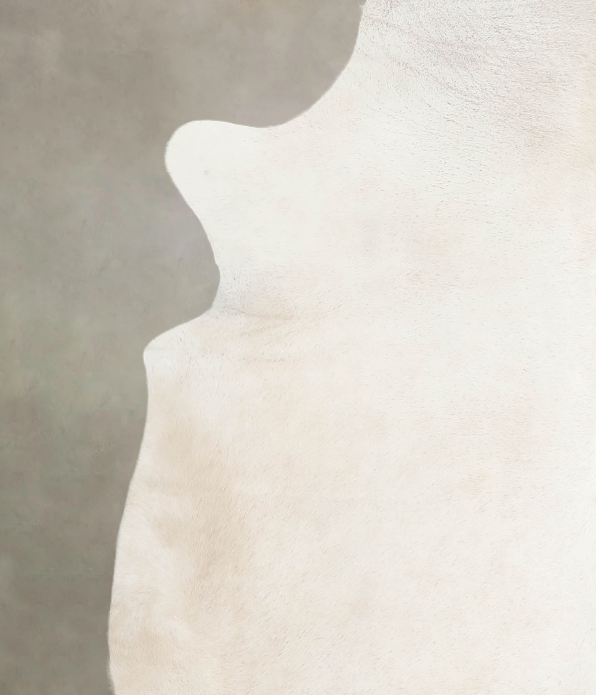 Ivory with Beige XX-Large Brazilian Cowhide Rug 7'5"H x 7'1"W #A26220 by Hudson Hides
