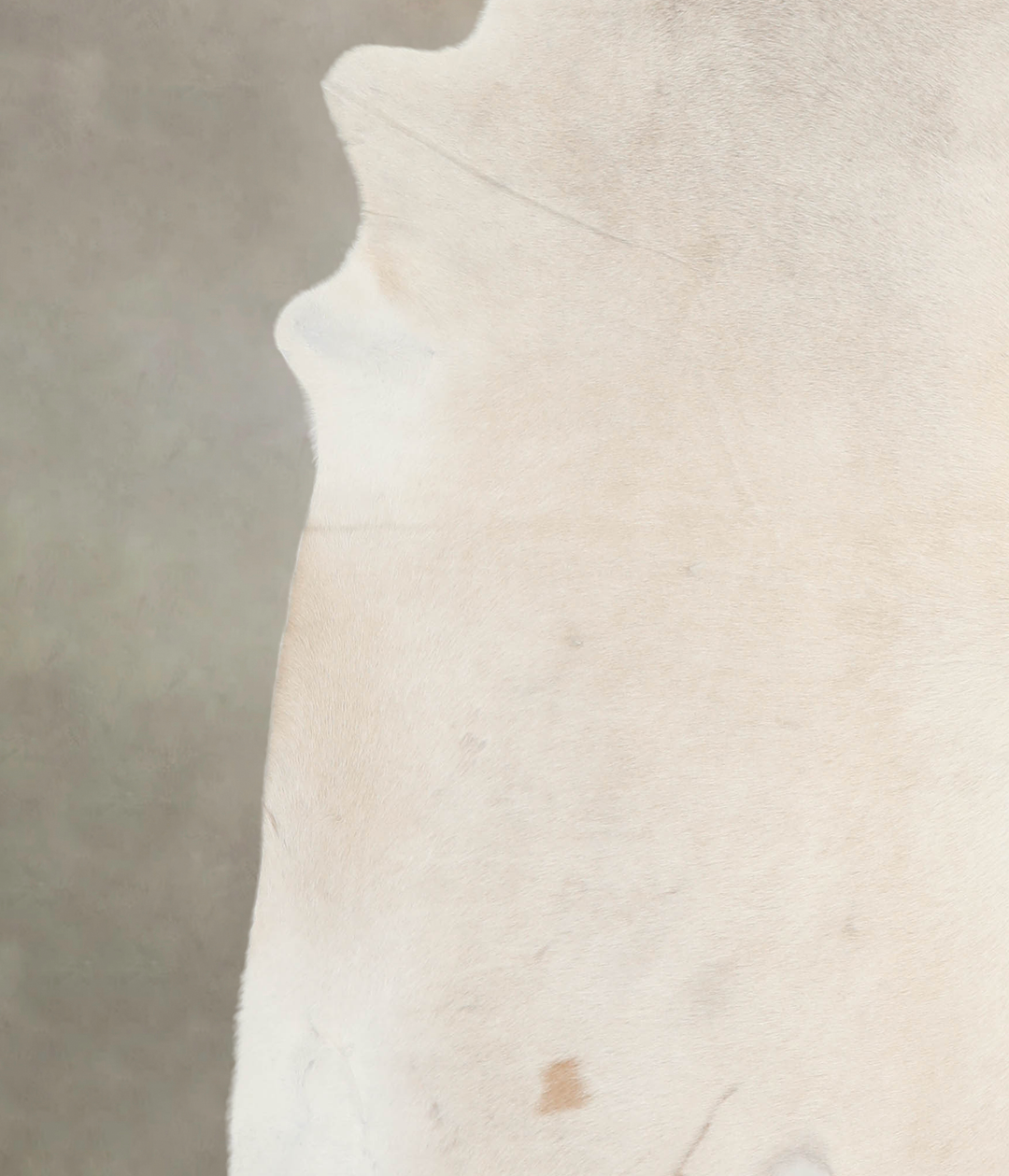 Palomino XX-Large Brazilian Cowhide Rug 7'1"H x 7'0"W #A26231 by Hudso