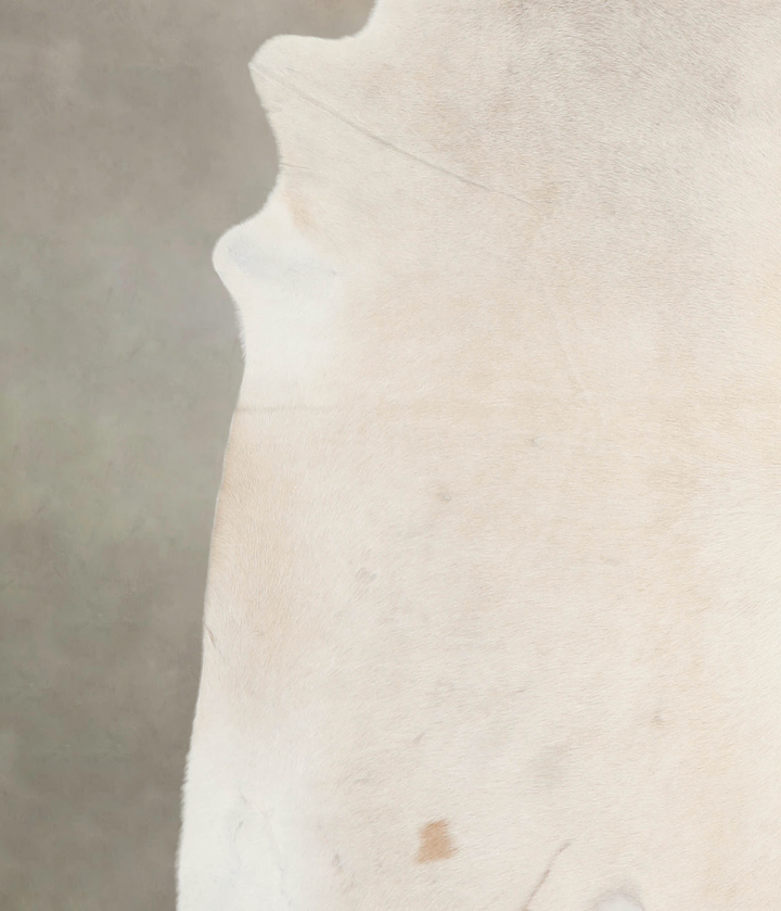 Palomino XX-Large Brazilian Cowhide Rug 7'1"H x 7'0"W #A26231 by Hudson Hides