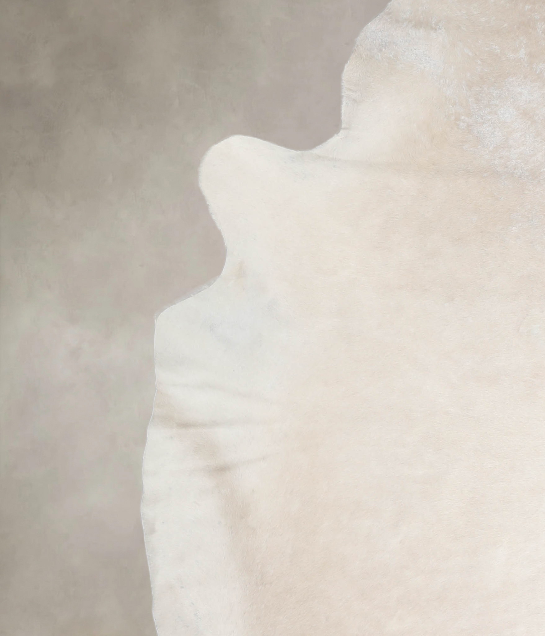 Ivory with Beige Cowhide Rug #A26243