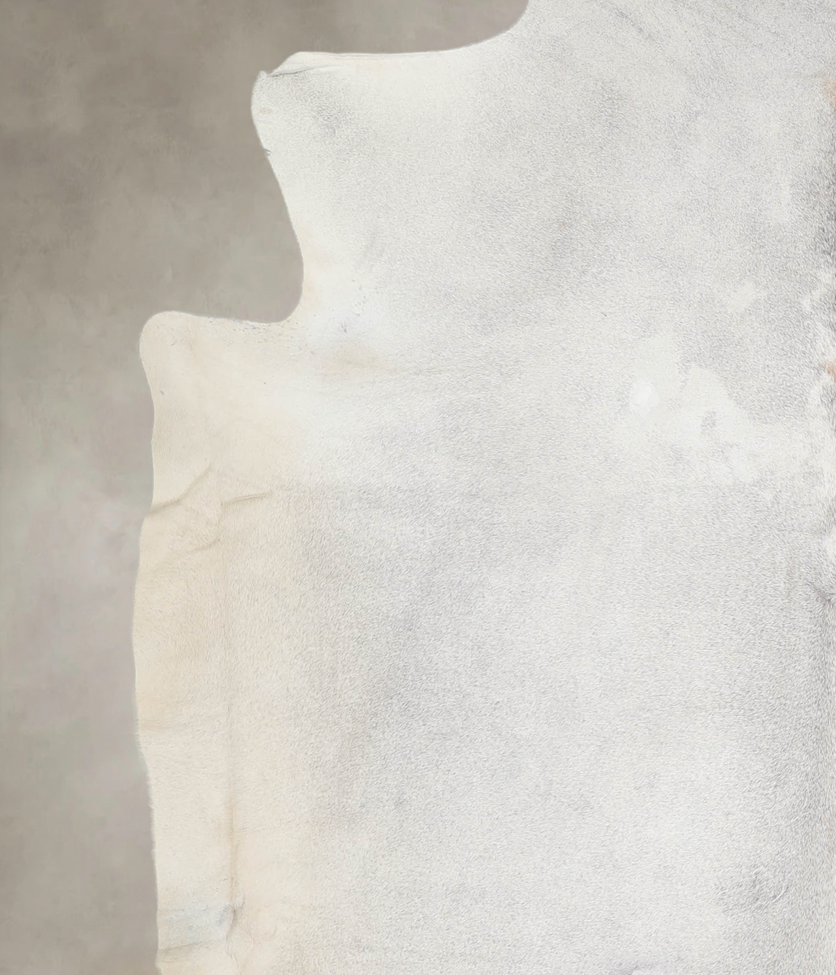 Light Grey XX-Large Brazilian Cowhide Rug 7'4"H x 7'2"W #A26253 by Hudson Hides
