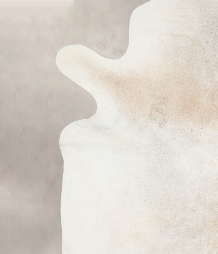 Ivory with Beige XX-Large Brazilian Cowhide Rug 7'7"H x 6'7"W #A26265 by Hudson Hides