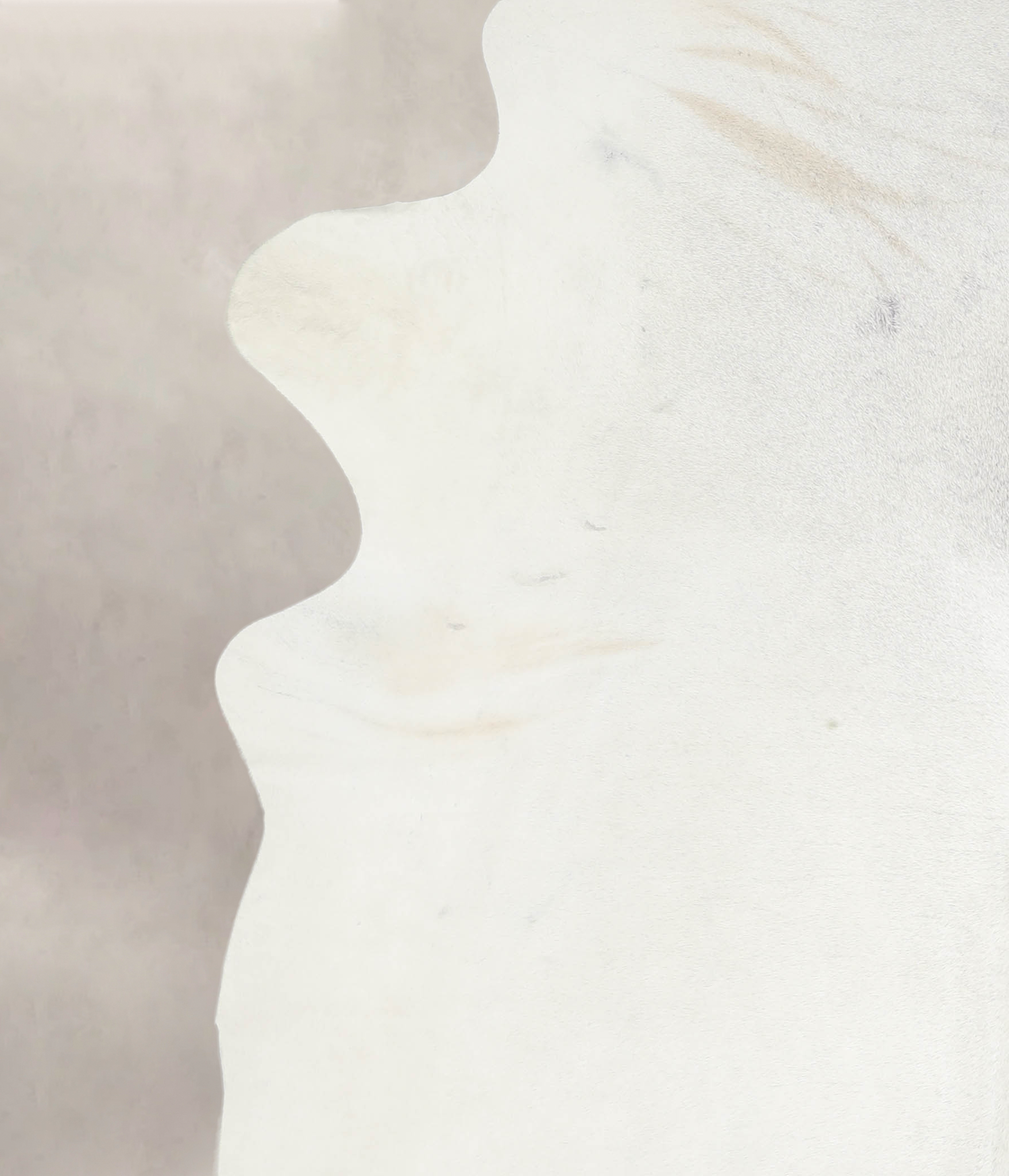 Light Grey Cowhide Rug #A26269