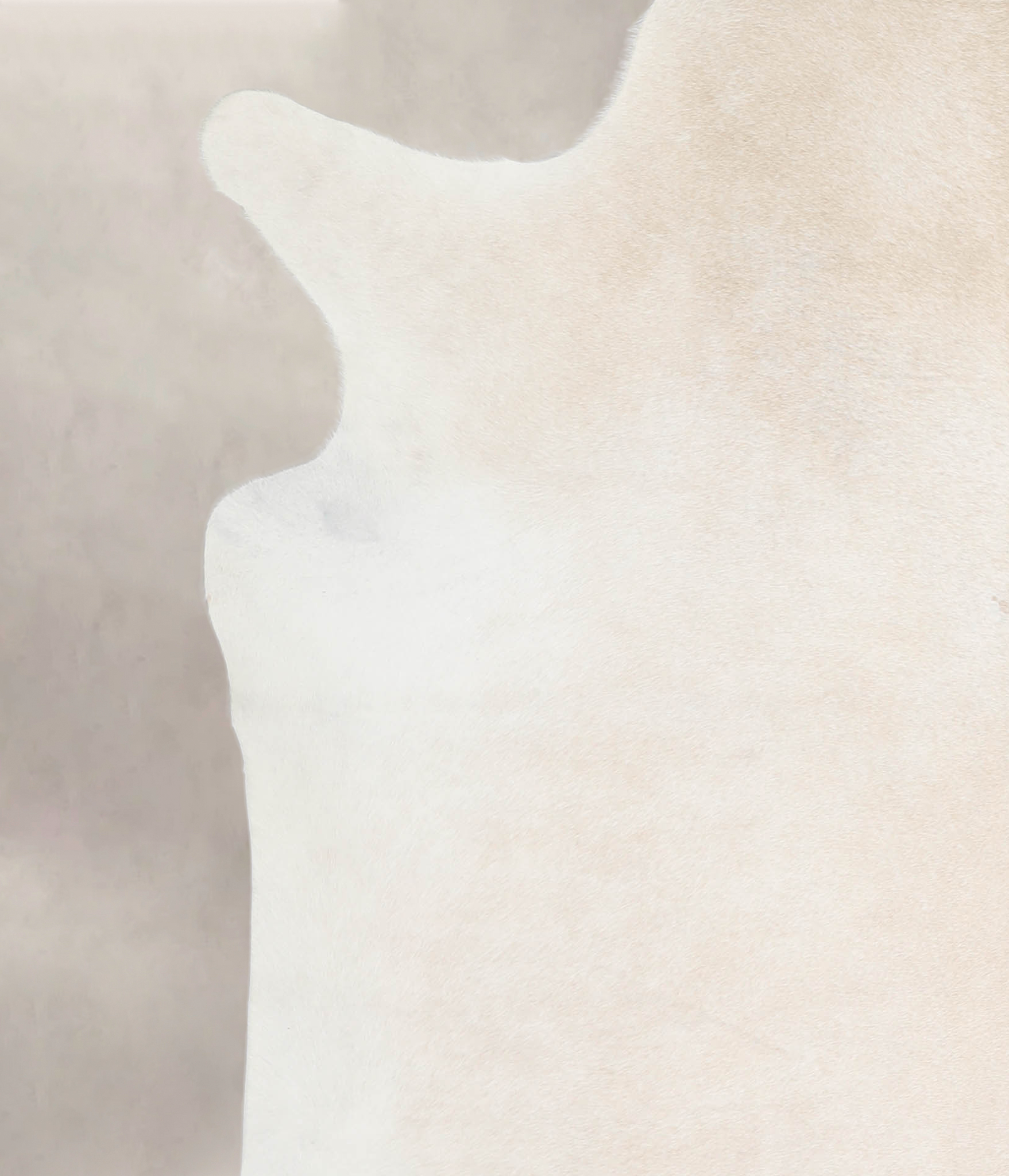 Ivory with Beige Cowhide Rug #A26295