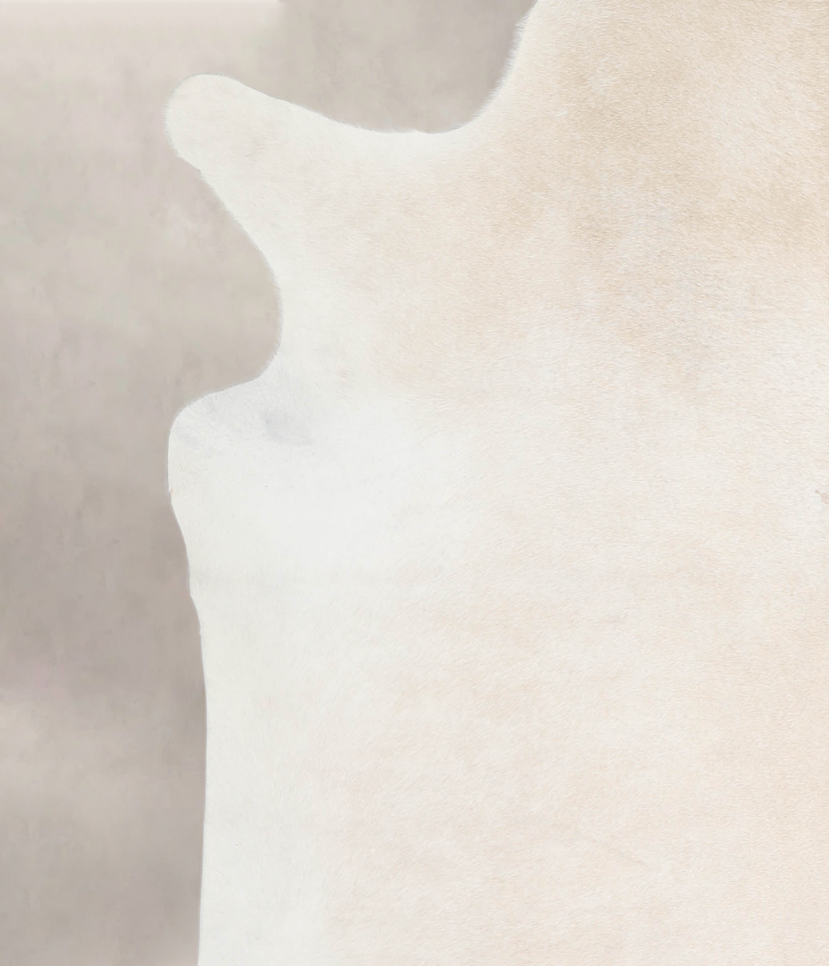 Ivory with Beige XX-Large Brazilian Cowhide Rug 7'8"H x 6'8"W #A26295 by Hudson Hides