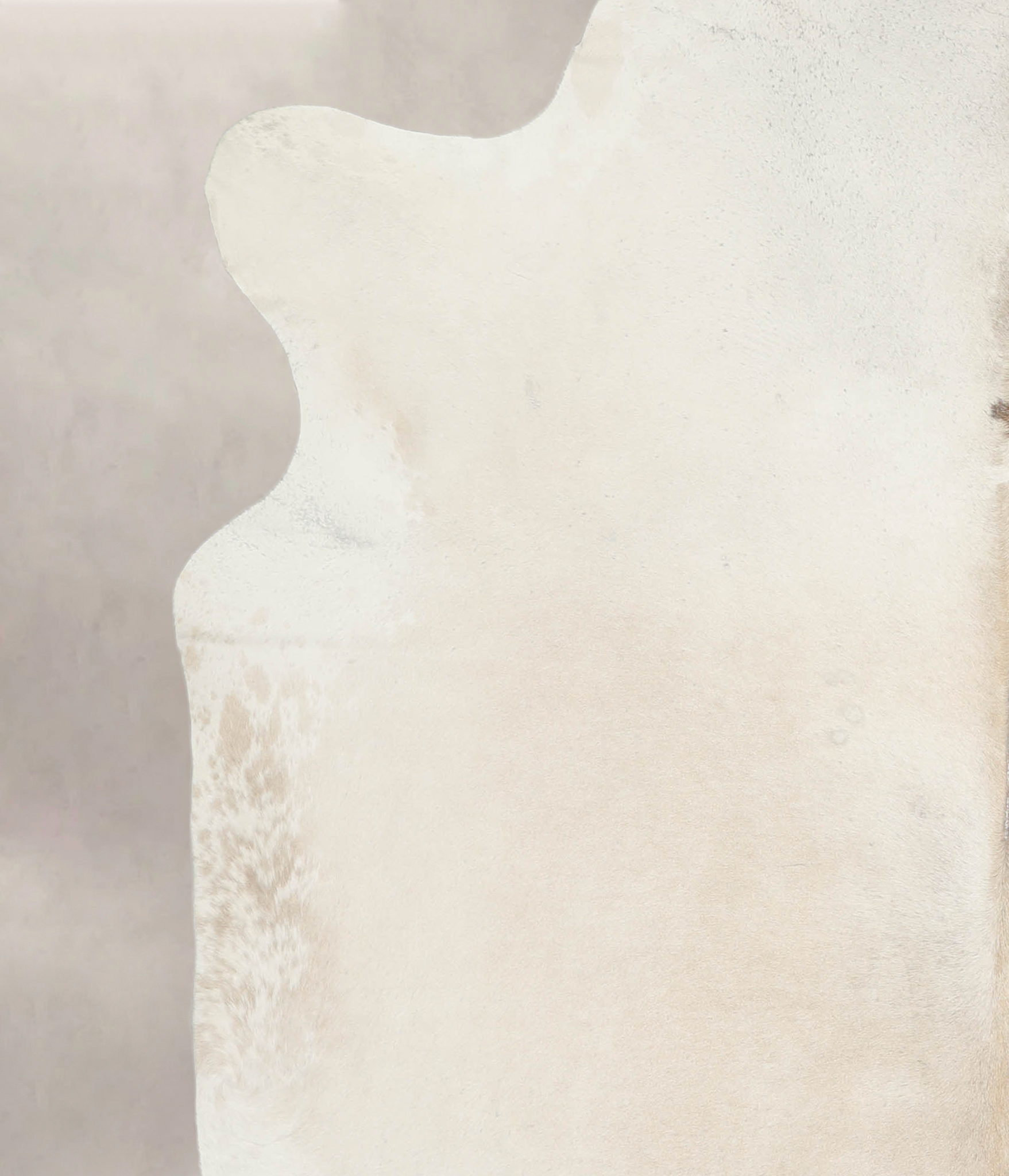 Ivory with Beige Cowhide Rug #A26339