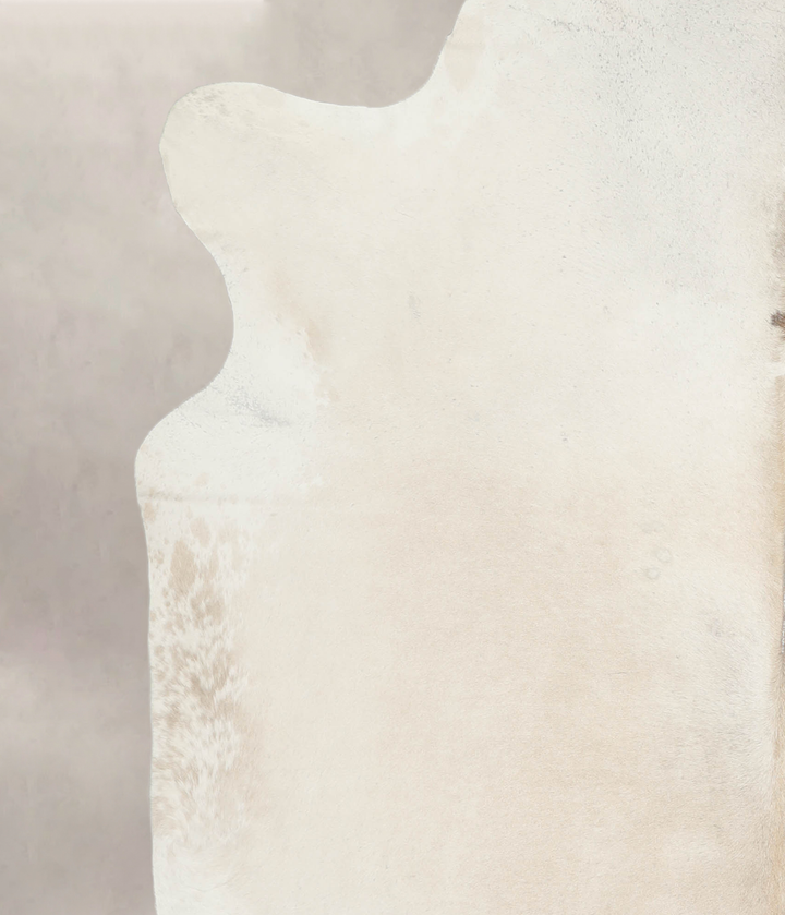 Ivory with Beige XX-Large Brazilian Cowhide Rug 7'9"H x 6'11"W #A26339 by Hudson Hides