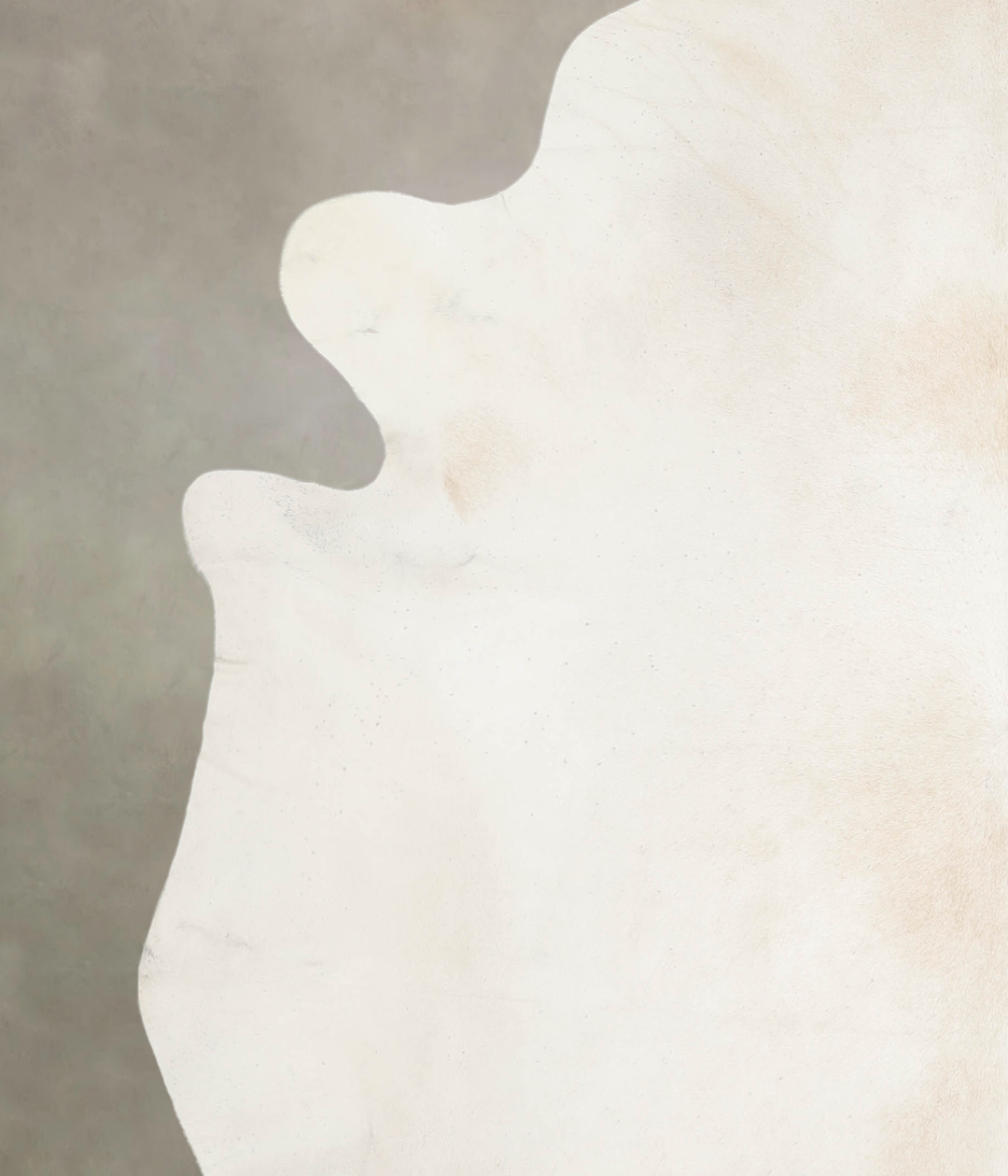 Ivory with Beige XX-Large Brazilian Cowhide Rug 7'9"H x 7'6"W #A26345 