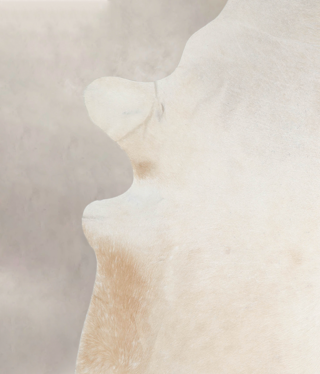 Palomino XX-Large Brazilian Cowhide Rug 8'5"H x 7'6"W #A26361 by Hudso