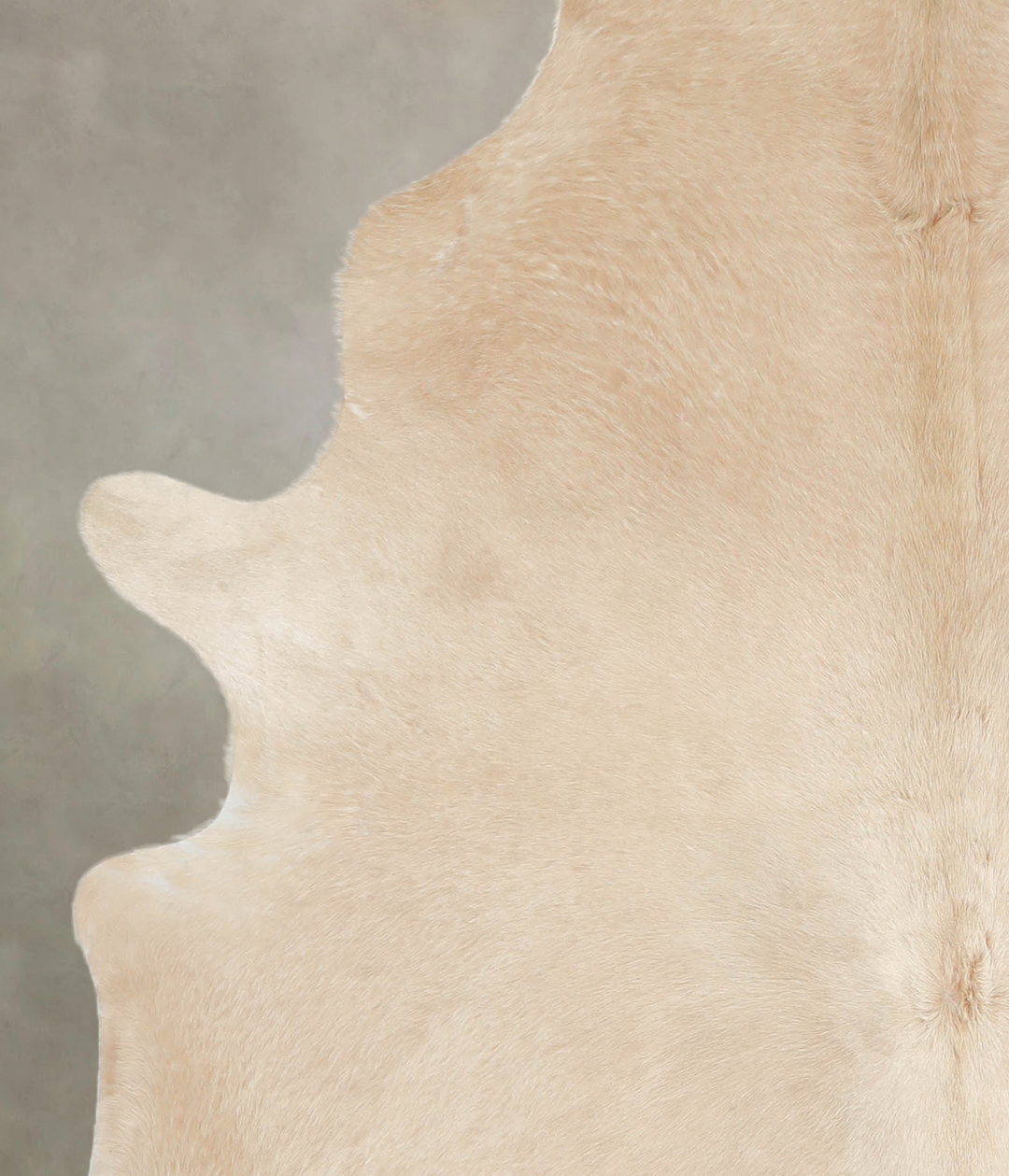 Champagne X-Large Brazilian Cowhide Rug 7'7"H x 6'2"W #A26368 by Hudso