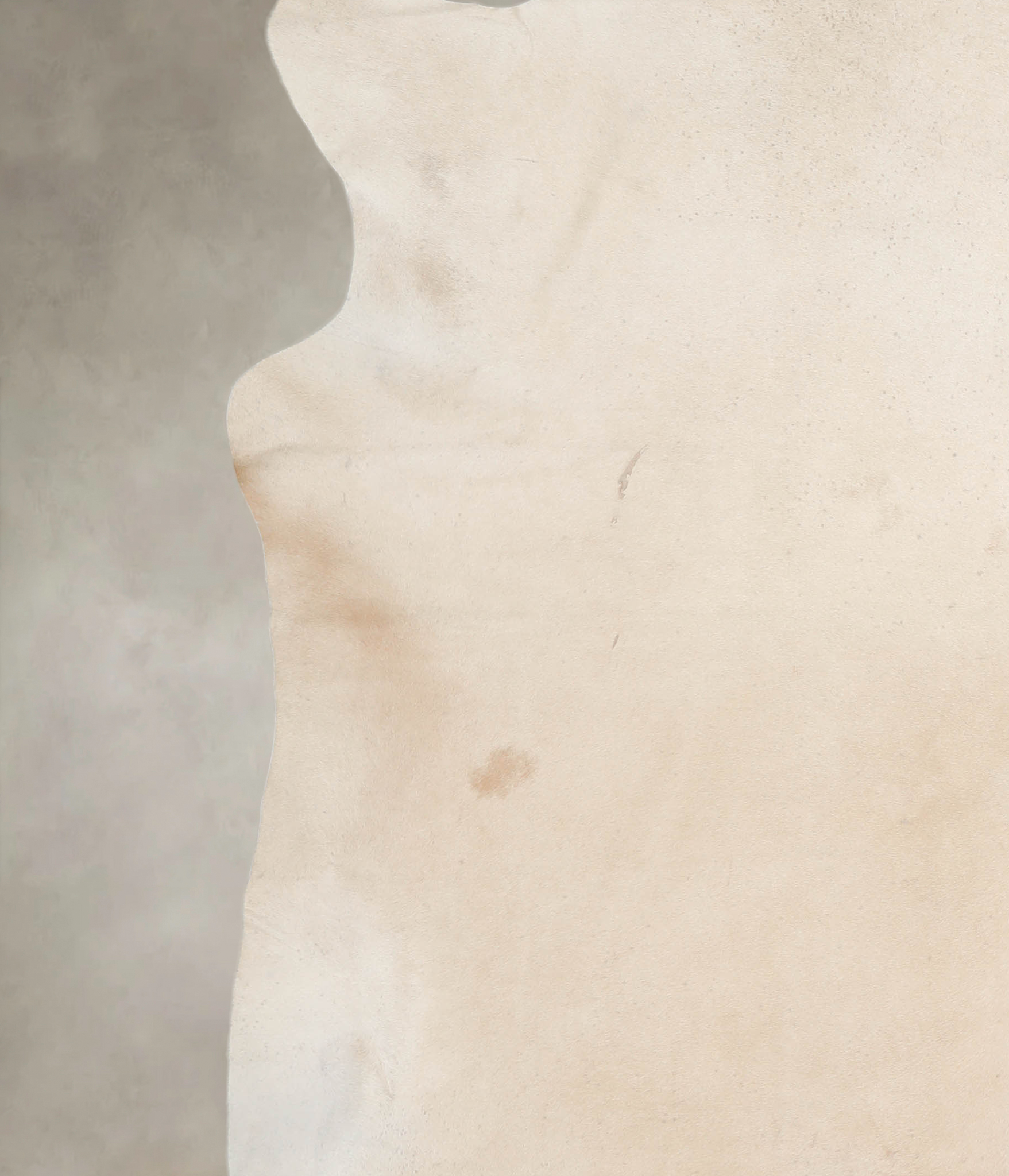 Palomino Cowhide Rug #A26381