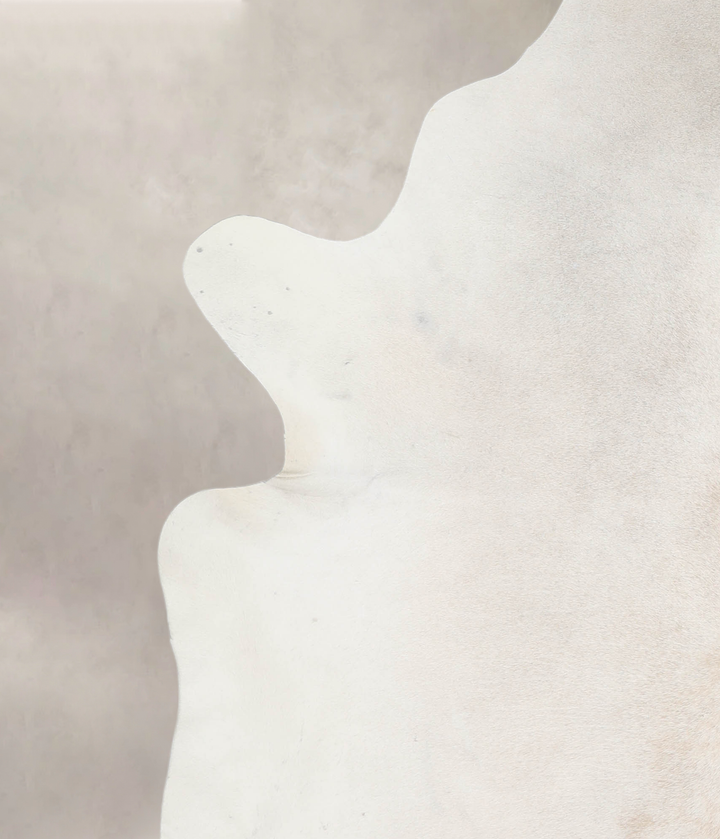 Ivory with Beige XX-Large Brazilian Cowhide Rug 8'1"H x 6'11"W #A26436 by Hudson Hides