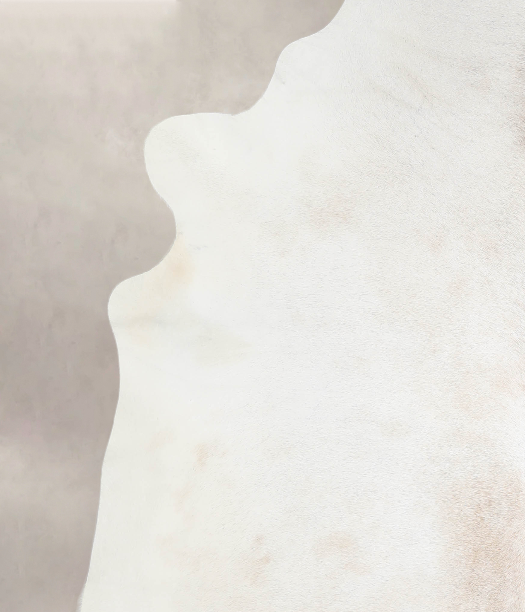 Ivory with Beige Cowhide Rug #A26456