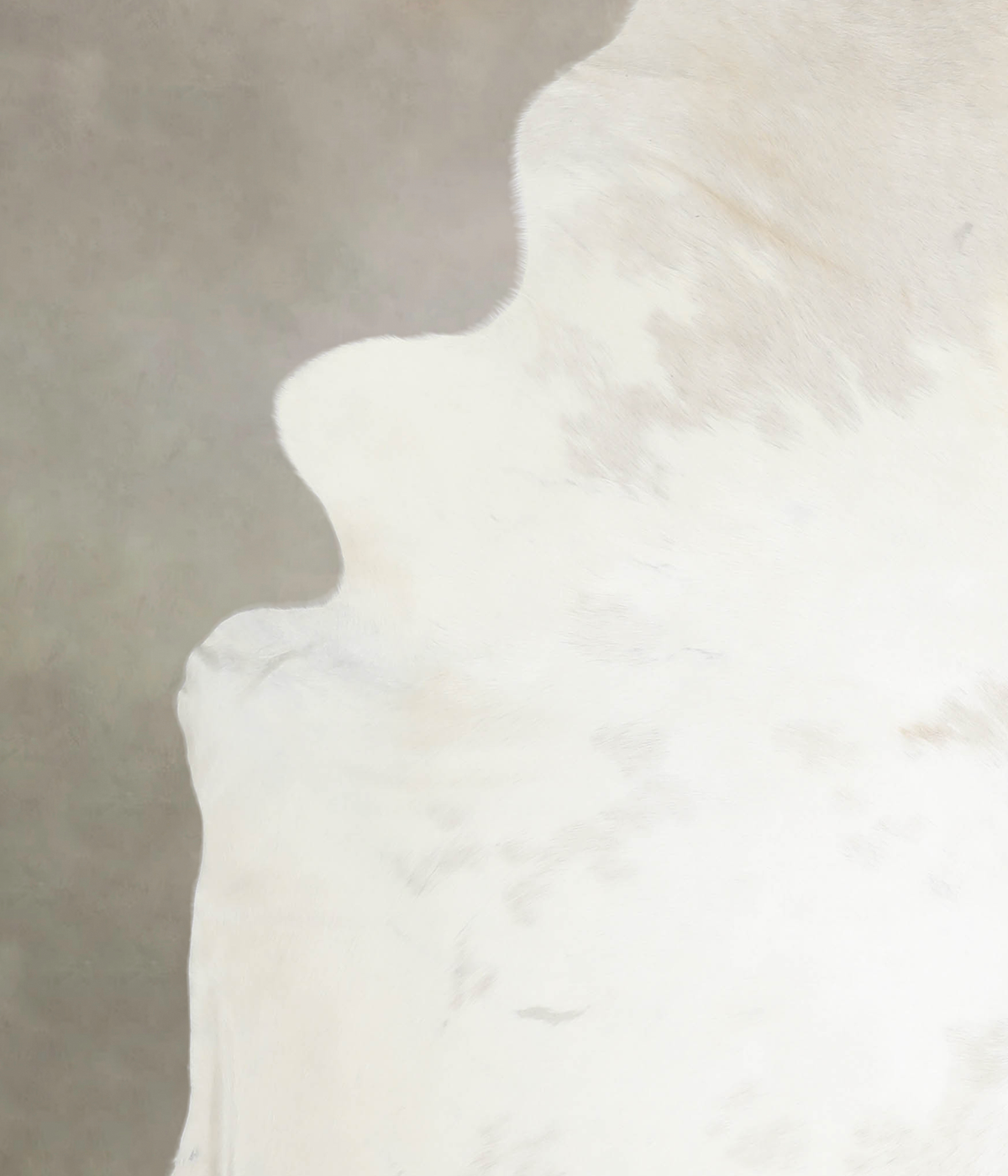 Ivory with Beige XX-Large Brazilian Cowhide Rug 8'2"H x 7'1"W #A26470 by Hudson Hides