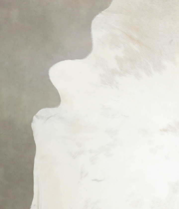 Ivory with Beige XX-Large Brazilian Cowhide Rug 8'2"H x 7'1"W #A26470 by Hudson Hides