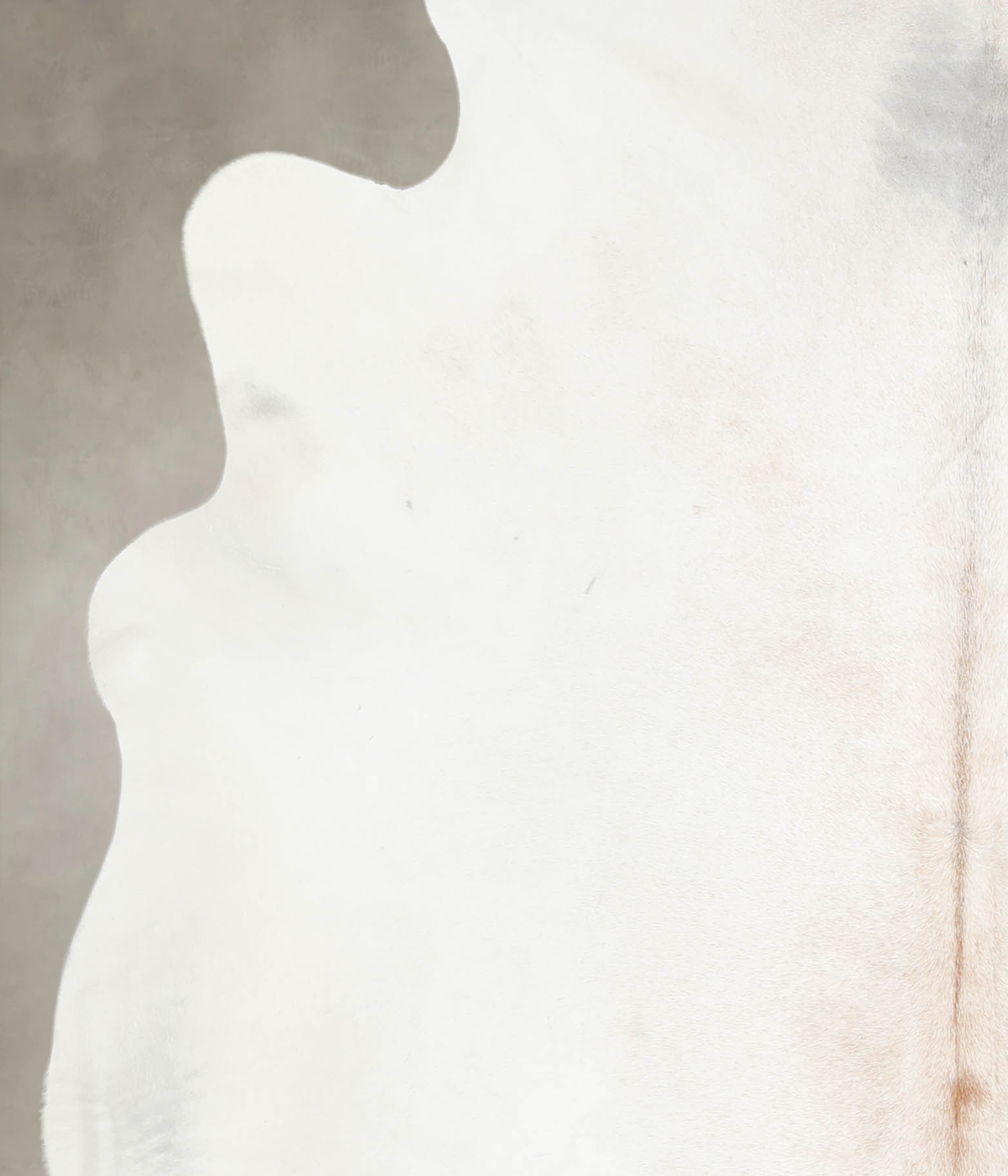 Ivory with Beige Cowhide Rug #A26471