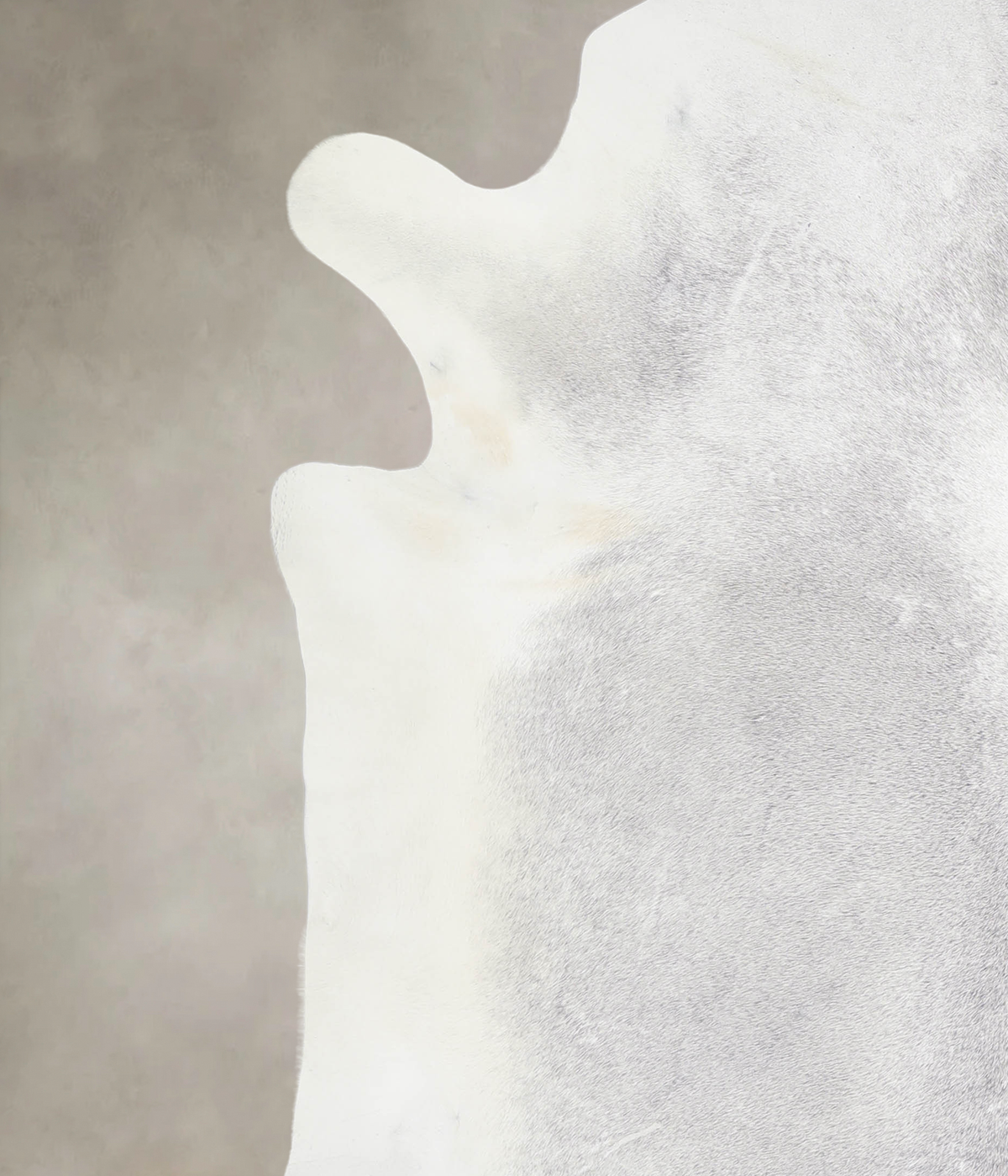 Medium Grey Cowhide Rug #A26475