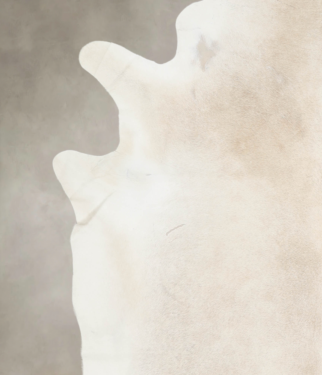 Ivory with Beige XX-Large Brazilian Cowhide Rug 7'7"H x 7'0"W #A26489 