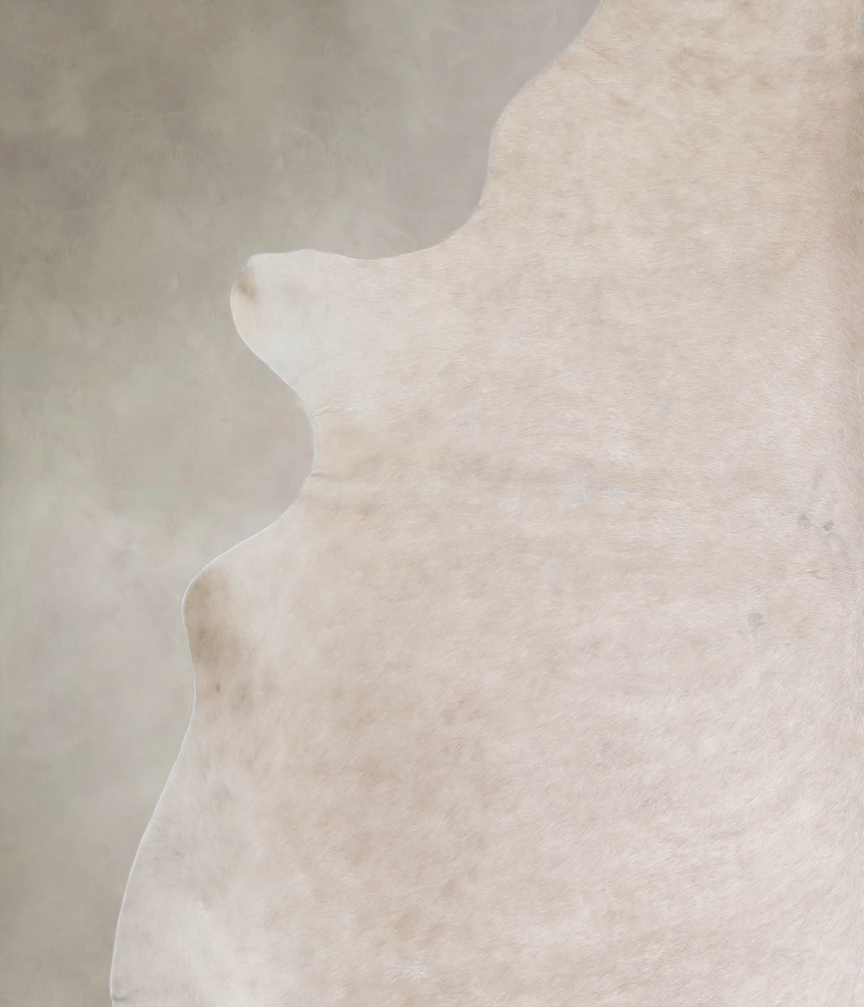 Champagne Cowhide Rug #A26498