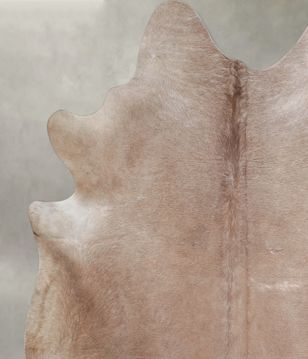 Taupe X-Large Brazilian Cowhide Rug 6'6"H x 6'9"W #A26507 by Hudson Hides