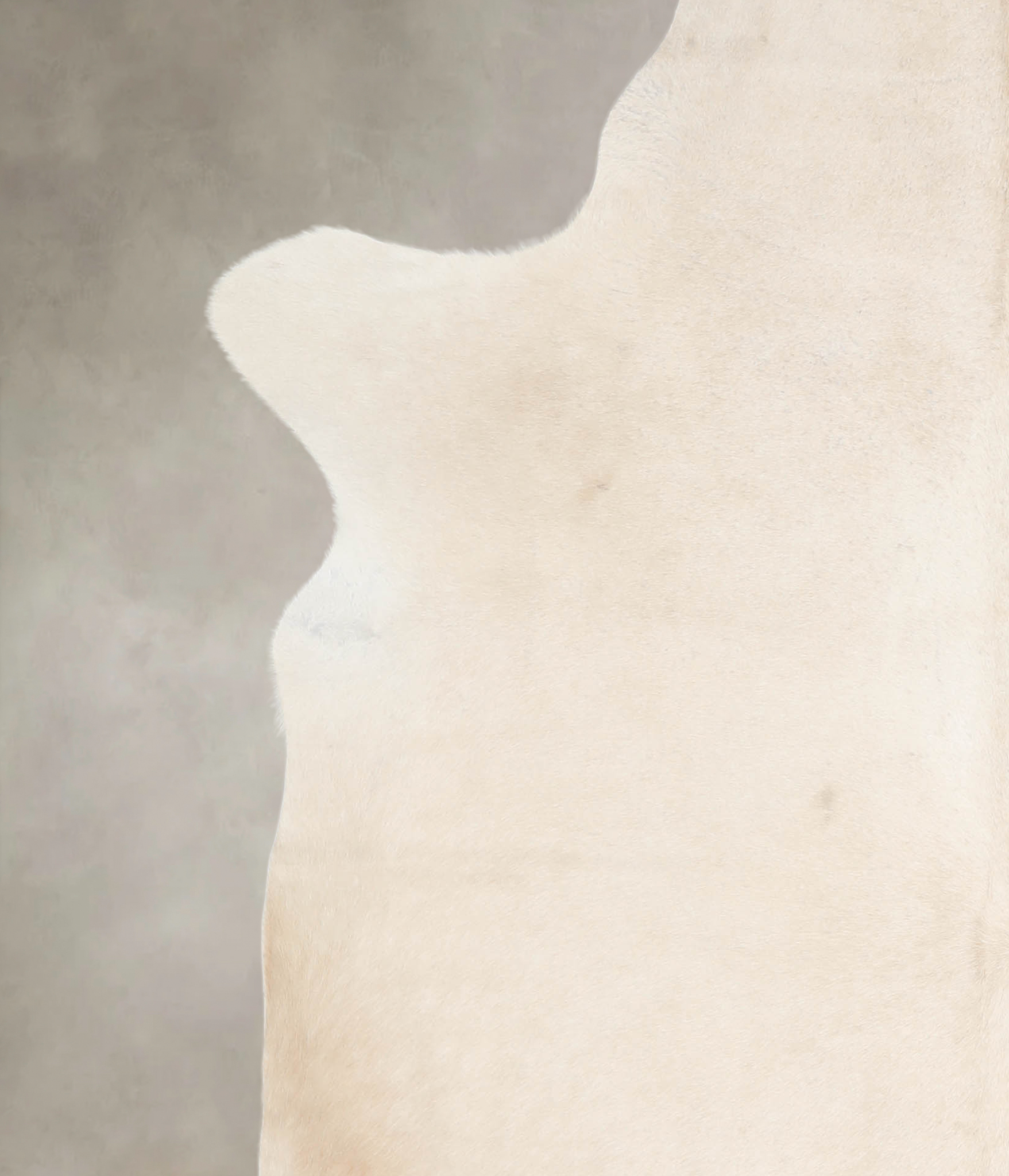 Palomino Cowhide Rug #A26535