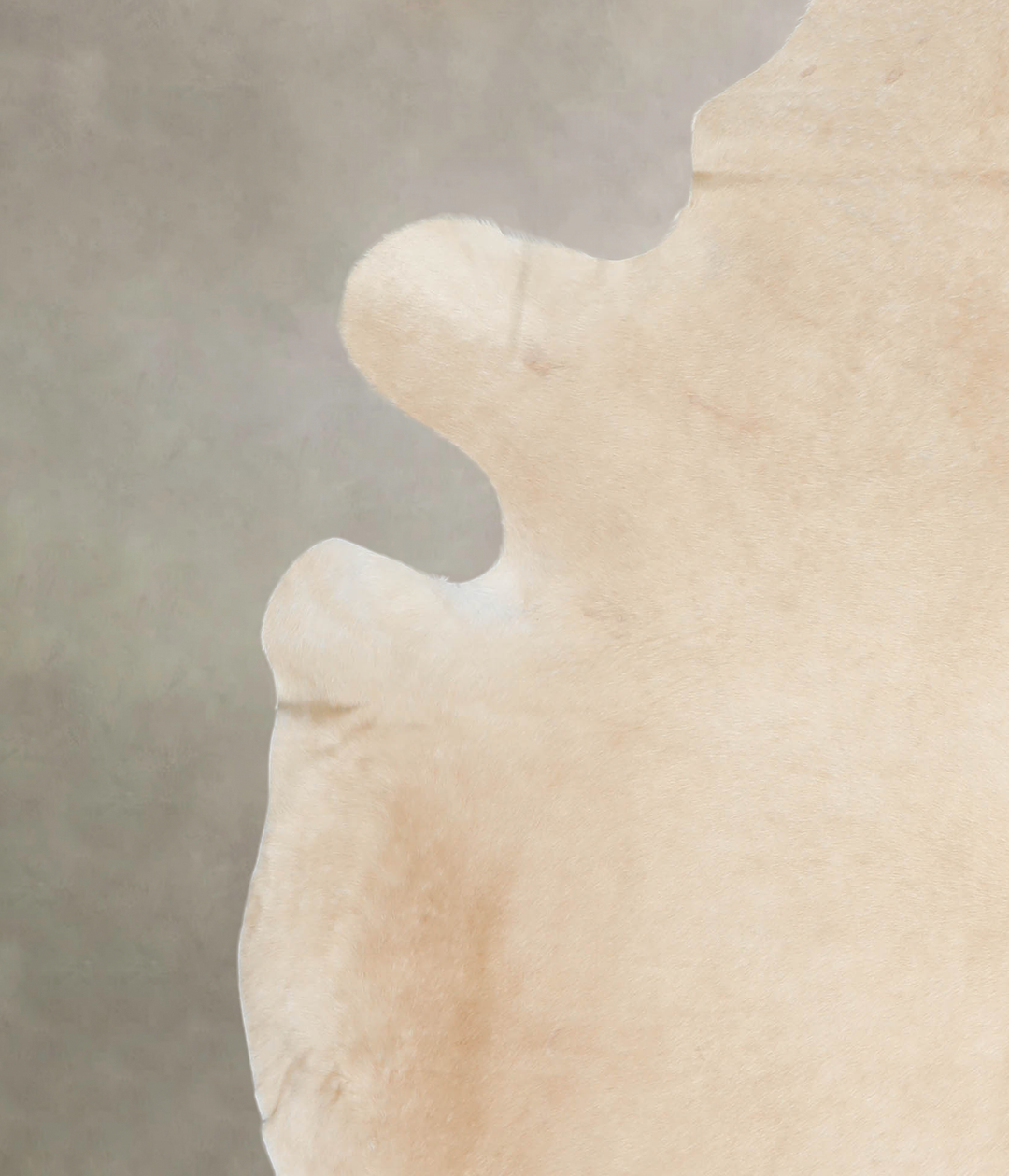 Palomino XX-Large Brazilian Cowhide Rug 7'11"H x 6'9"W #A26550 by Huds