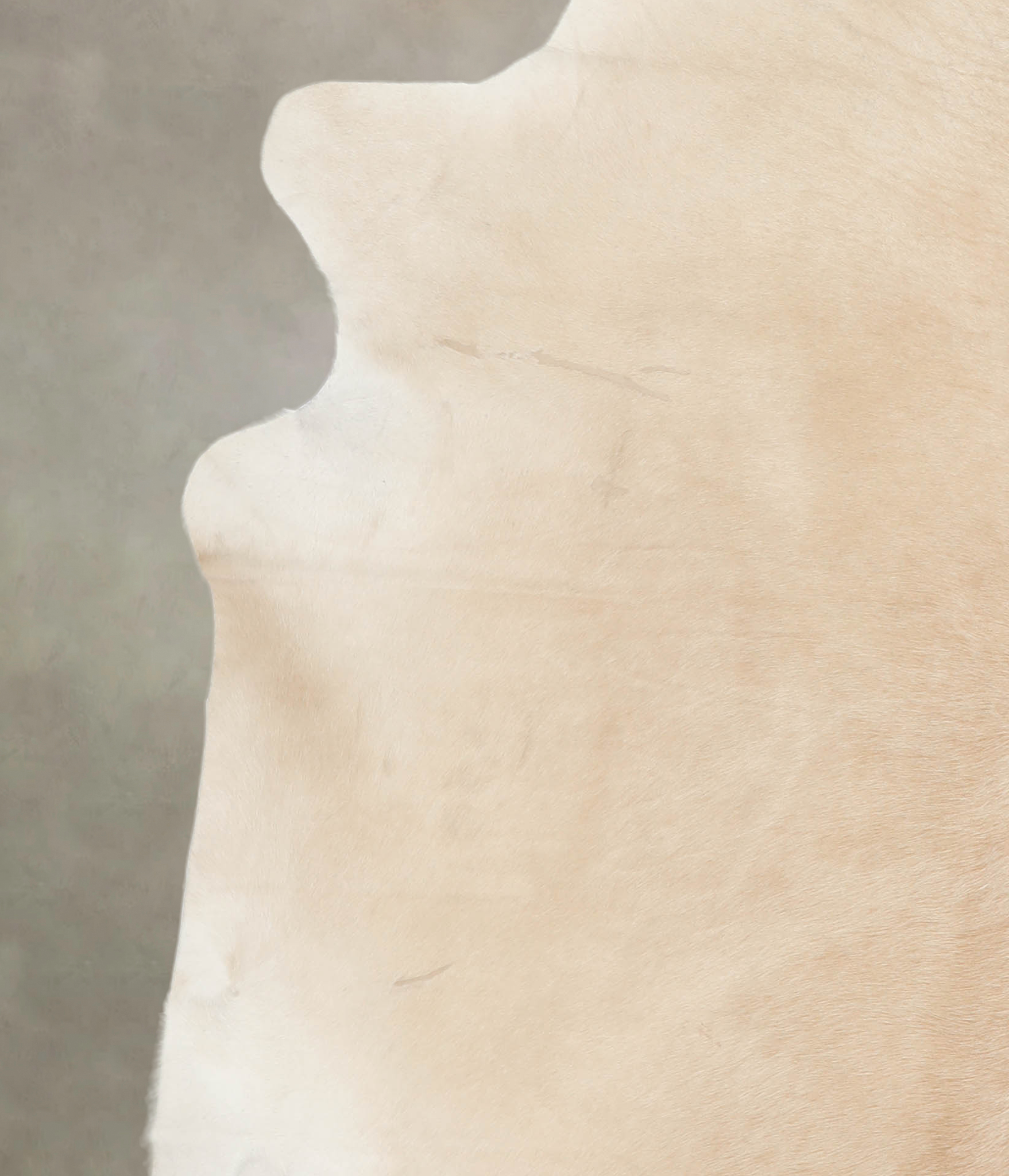 Palomino Cowhide Rug #A26554