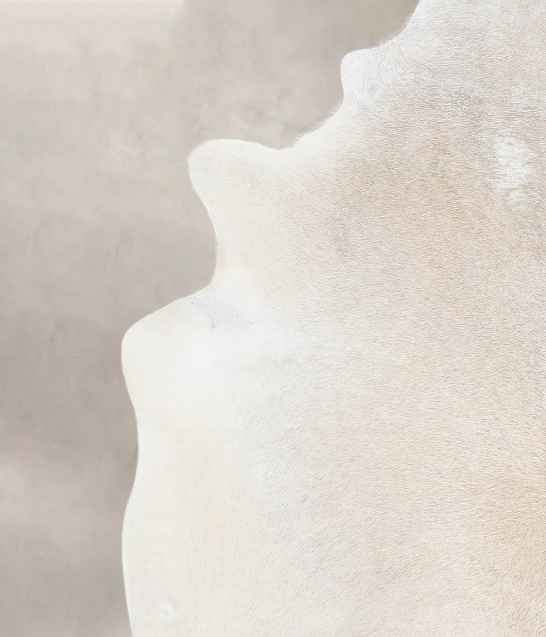 Grey with Beige Cowhide Rug #A26608