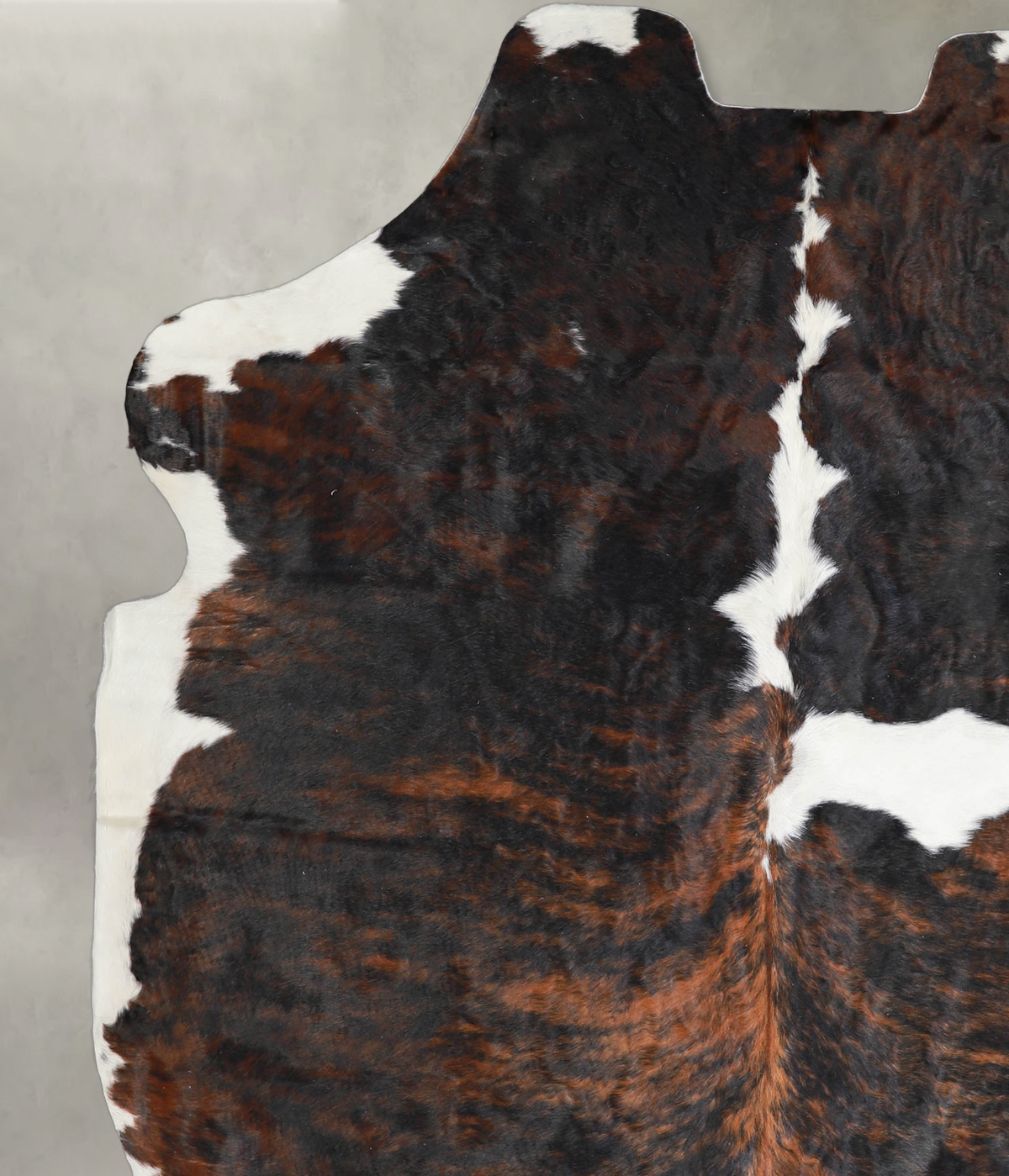 Tricolor X-Large European Cowhide Rug 7'3"H x 6'3"W #A26686 by Hudson Hides