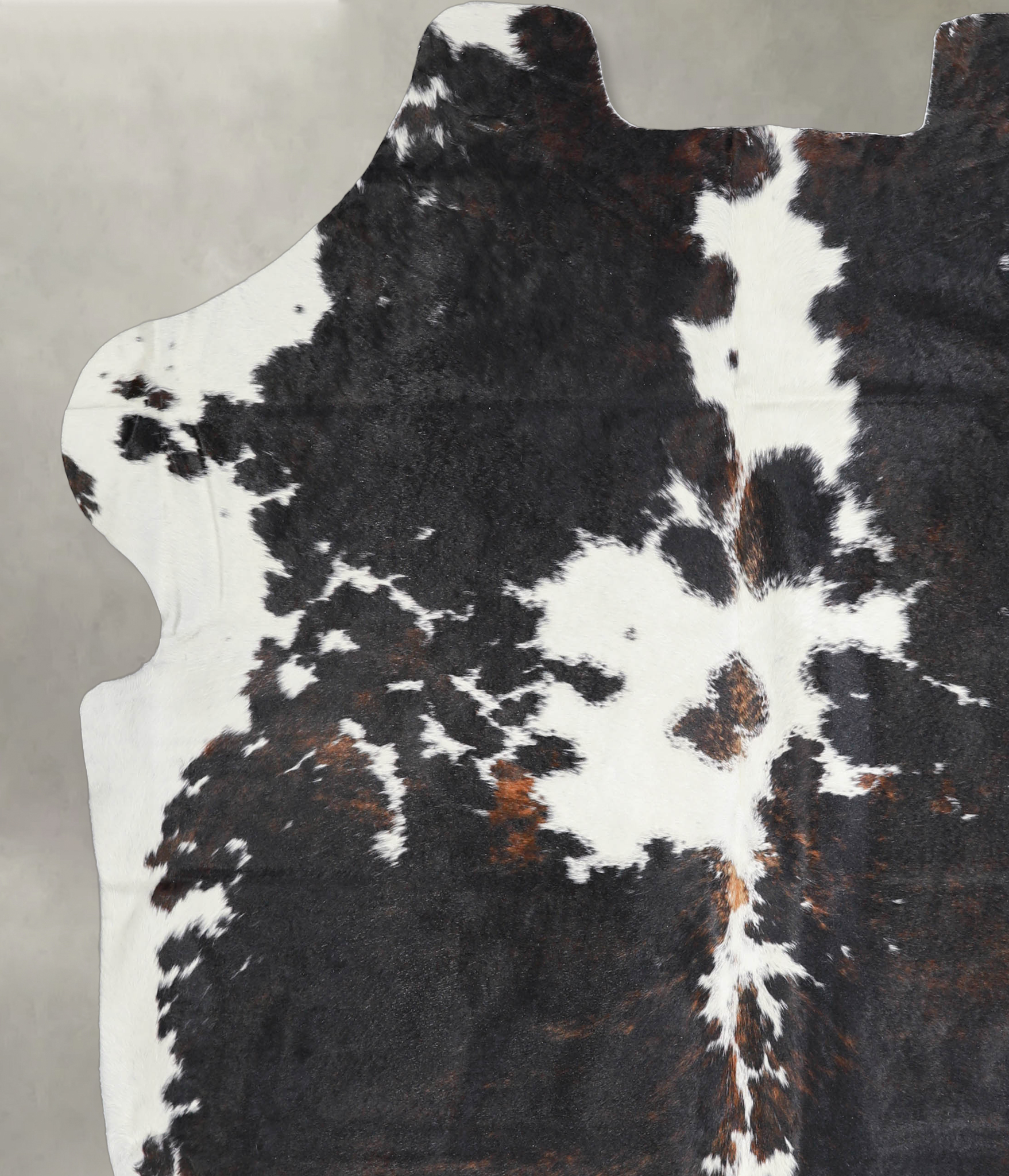 Tricolor Cowhide Rug #A26708