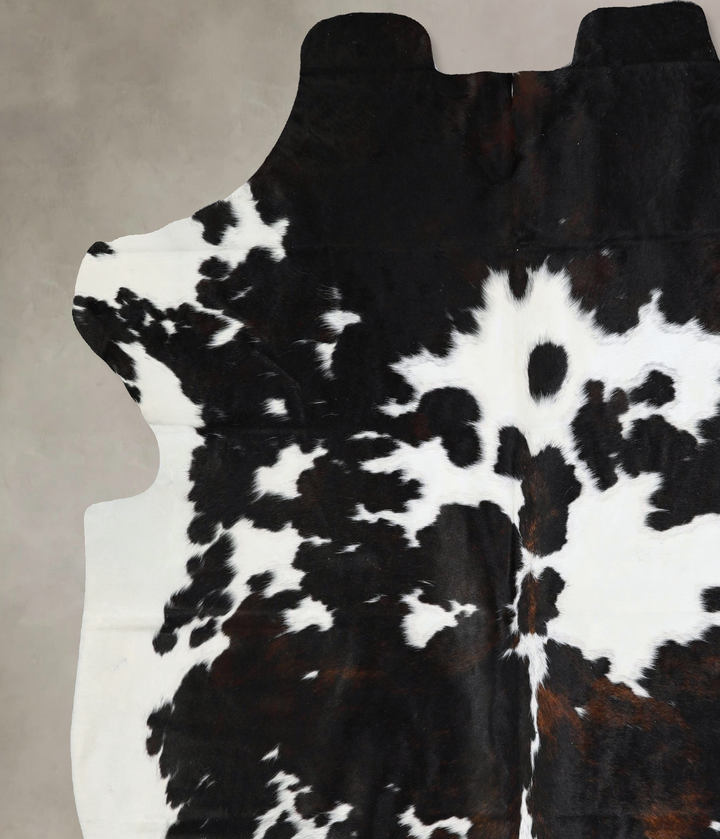 Tricolor X-Large European Cowhide Rug 7'3"H x 6'8"W #A27 by Hudson Hides