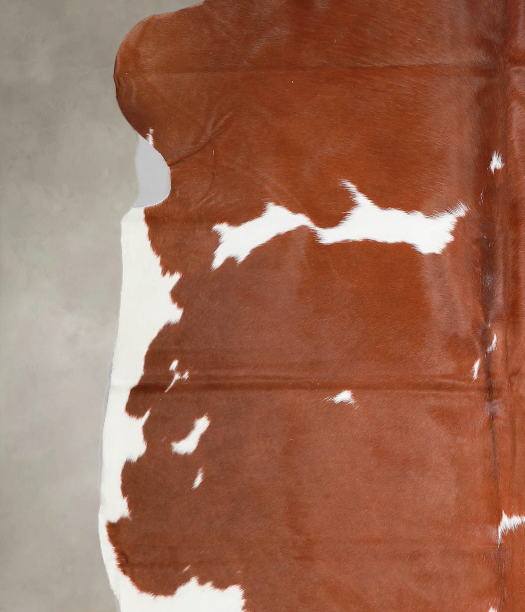 Brown and White Cowhide Rug #A27014