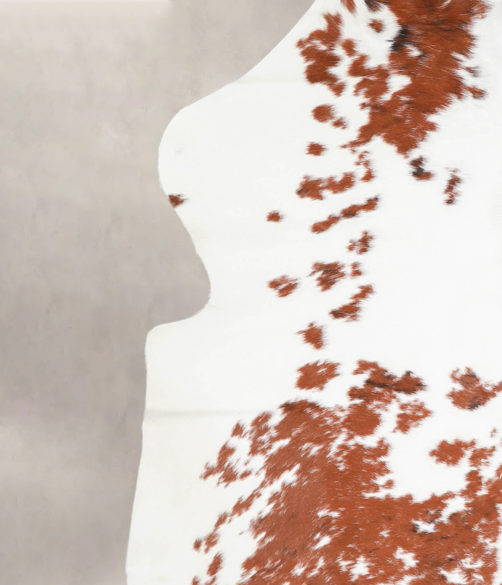 Brown and White Cowhide Rug #A27017