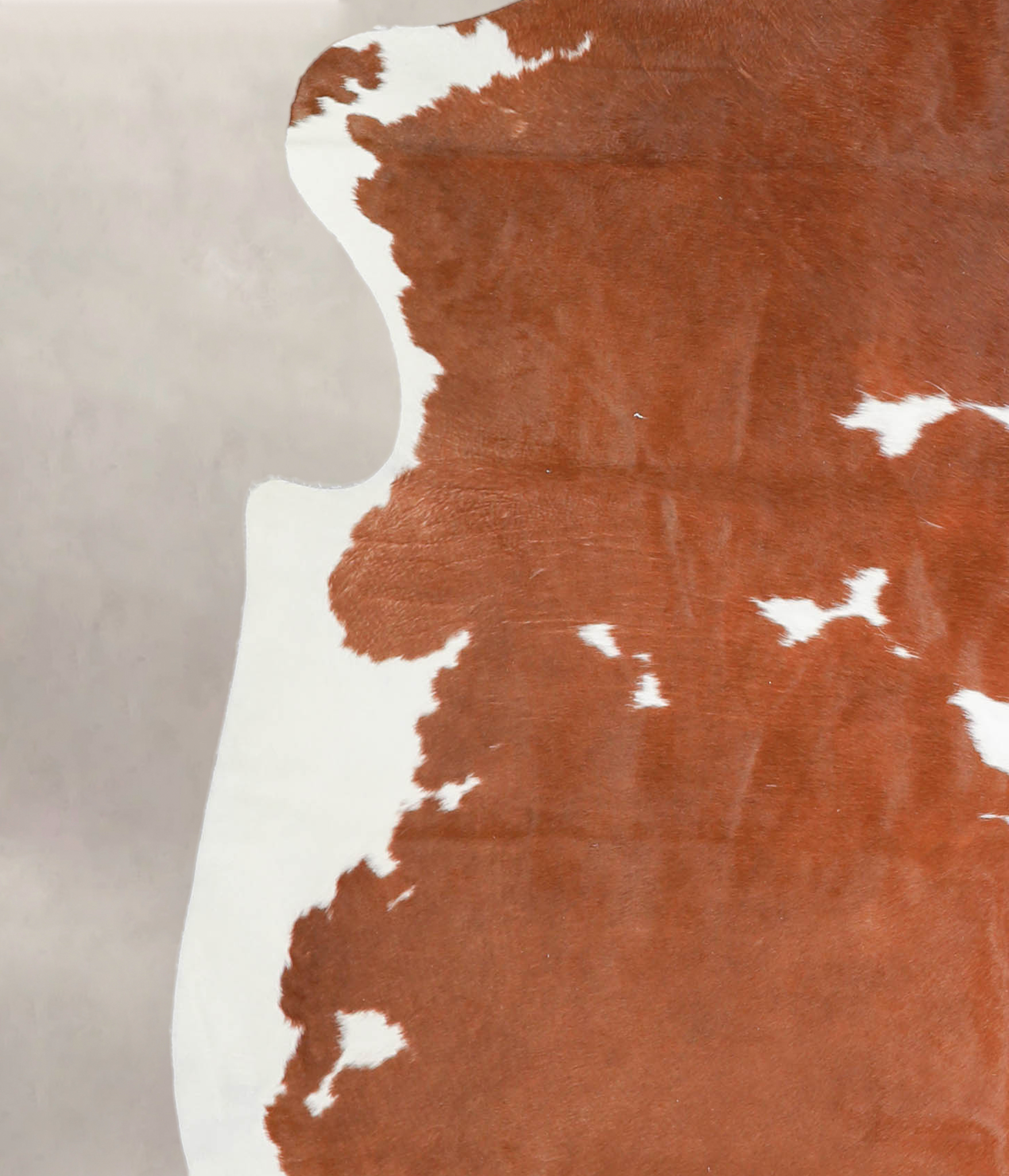 Brown and White Cowhide Rug #A27061